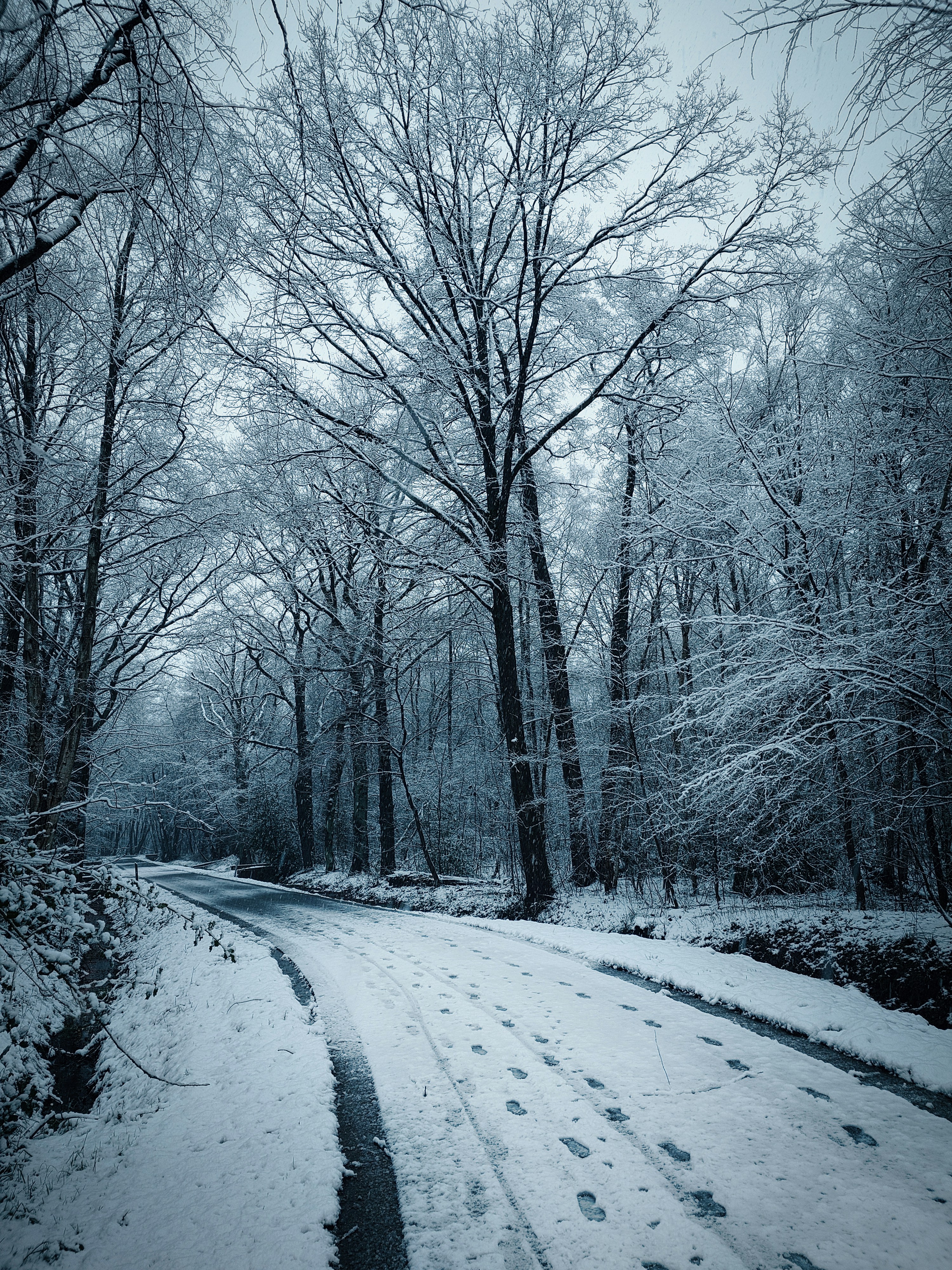 Photo by shottrotter