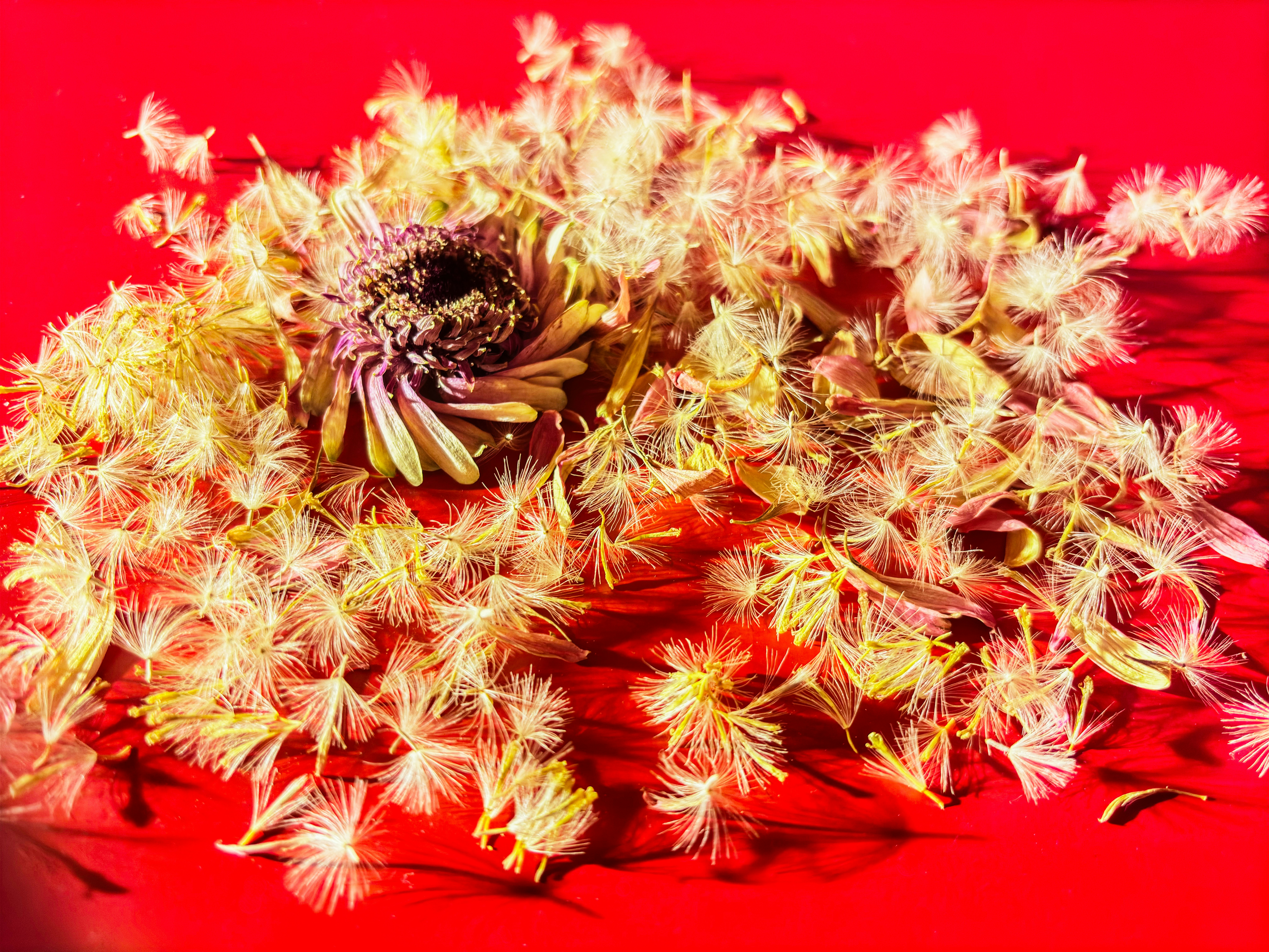 A bunch of flowers sitting on top of a red table