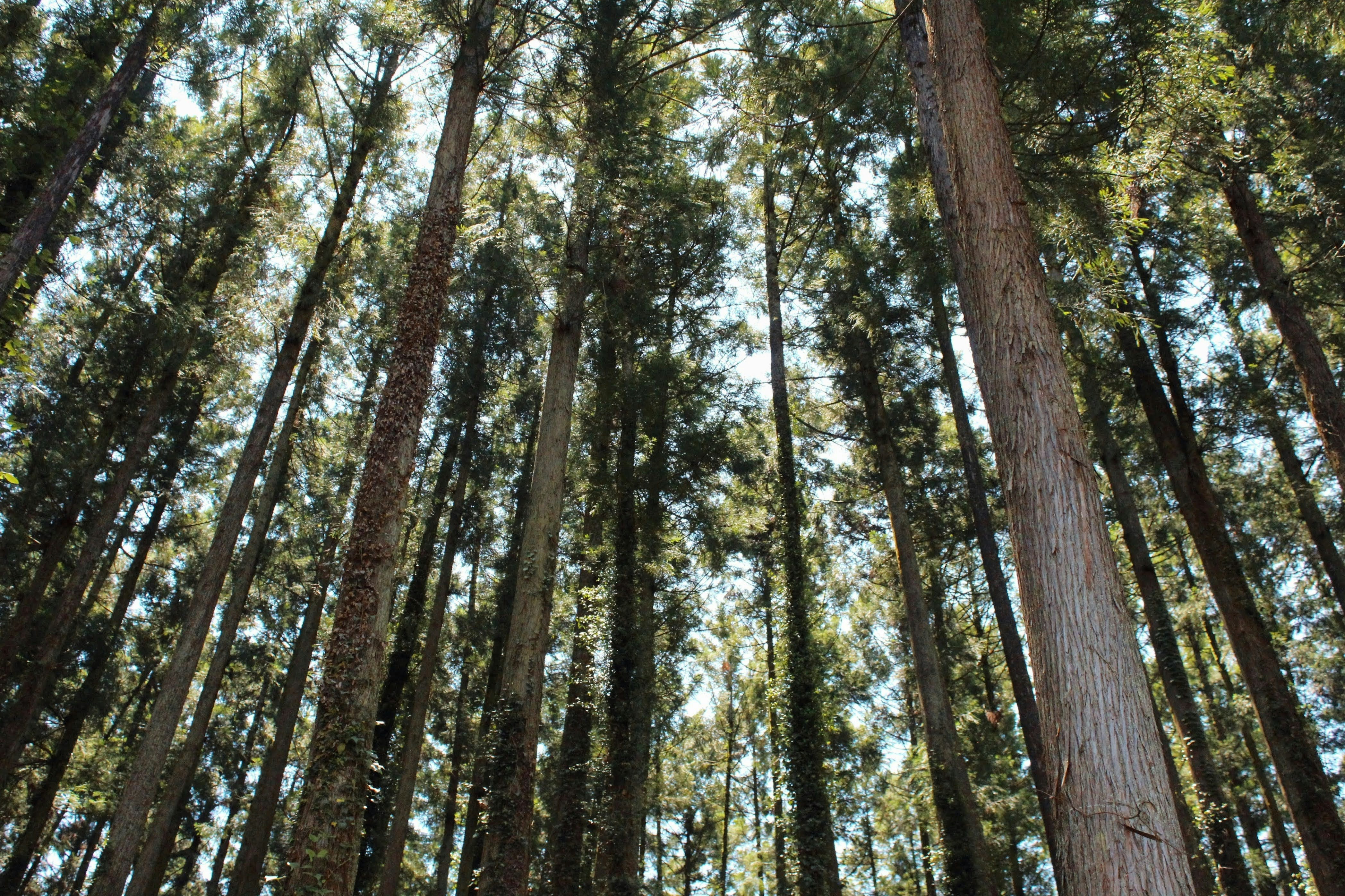 Photo by issydoherty