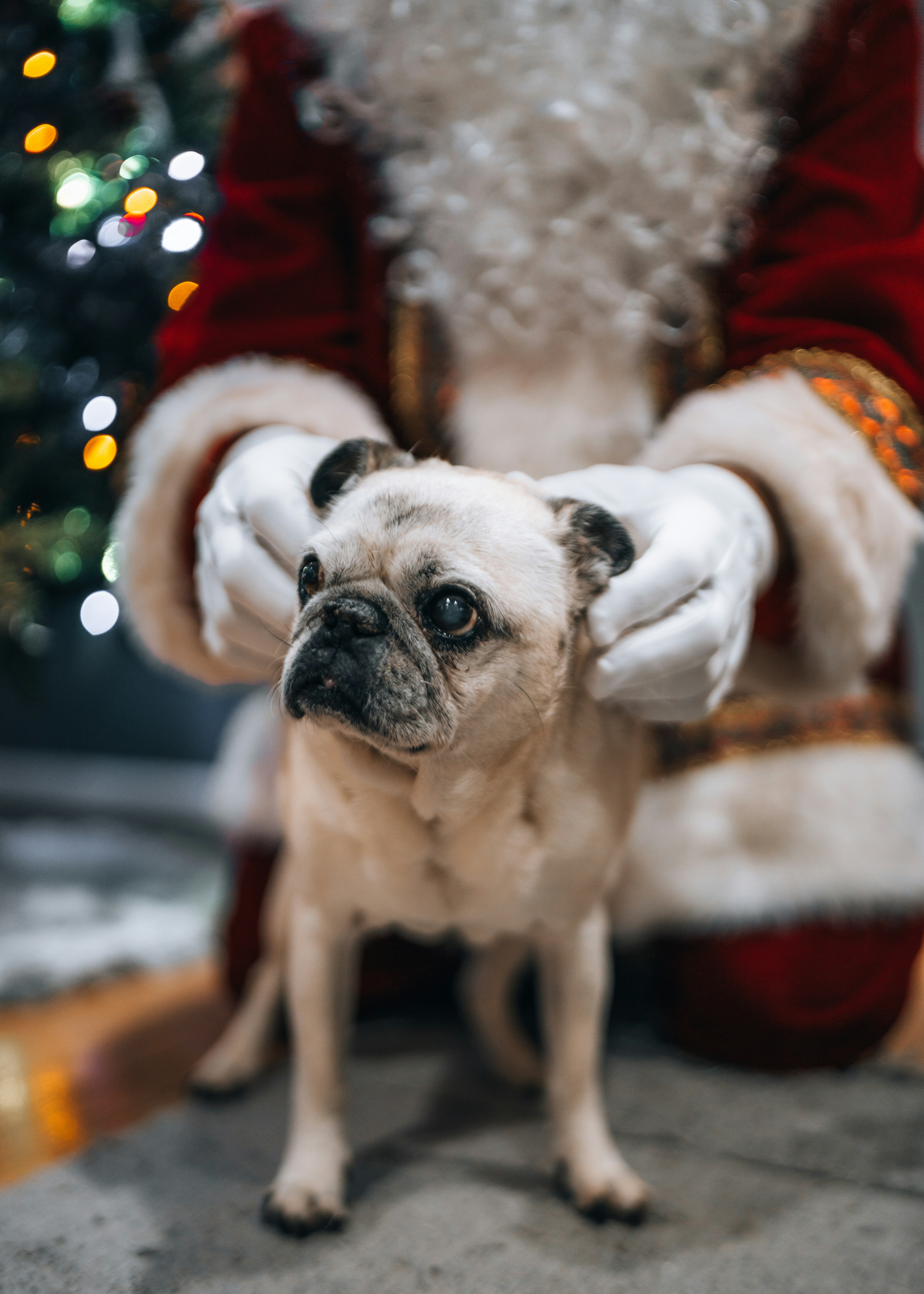 Photo by bugsandslugs