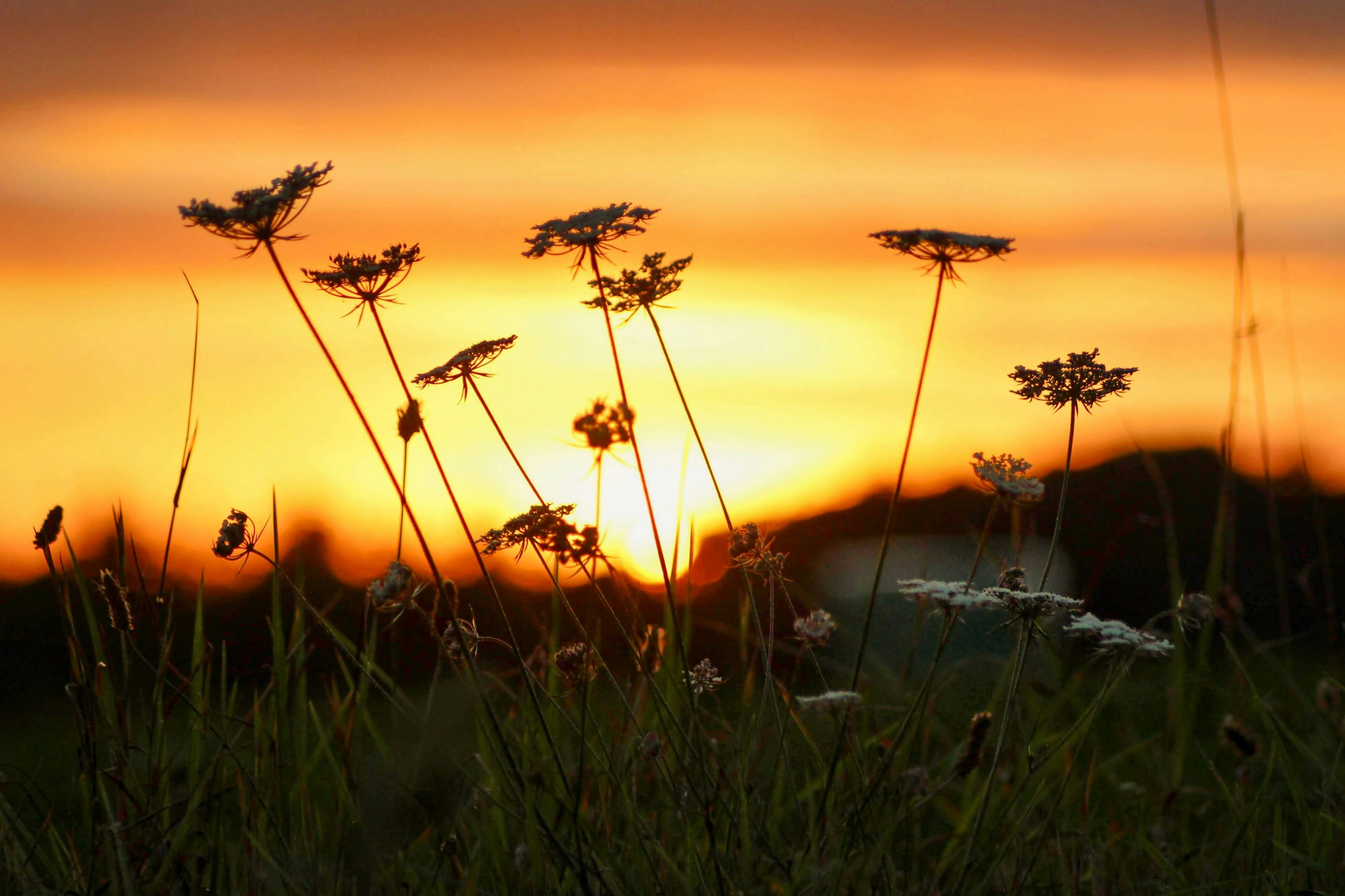 Photo by issydoherty