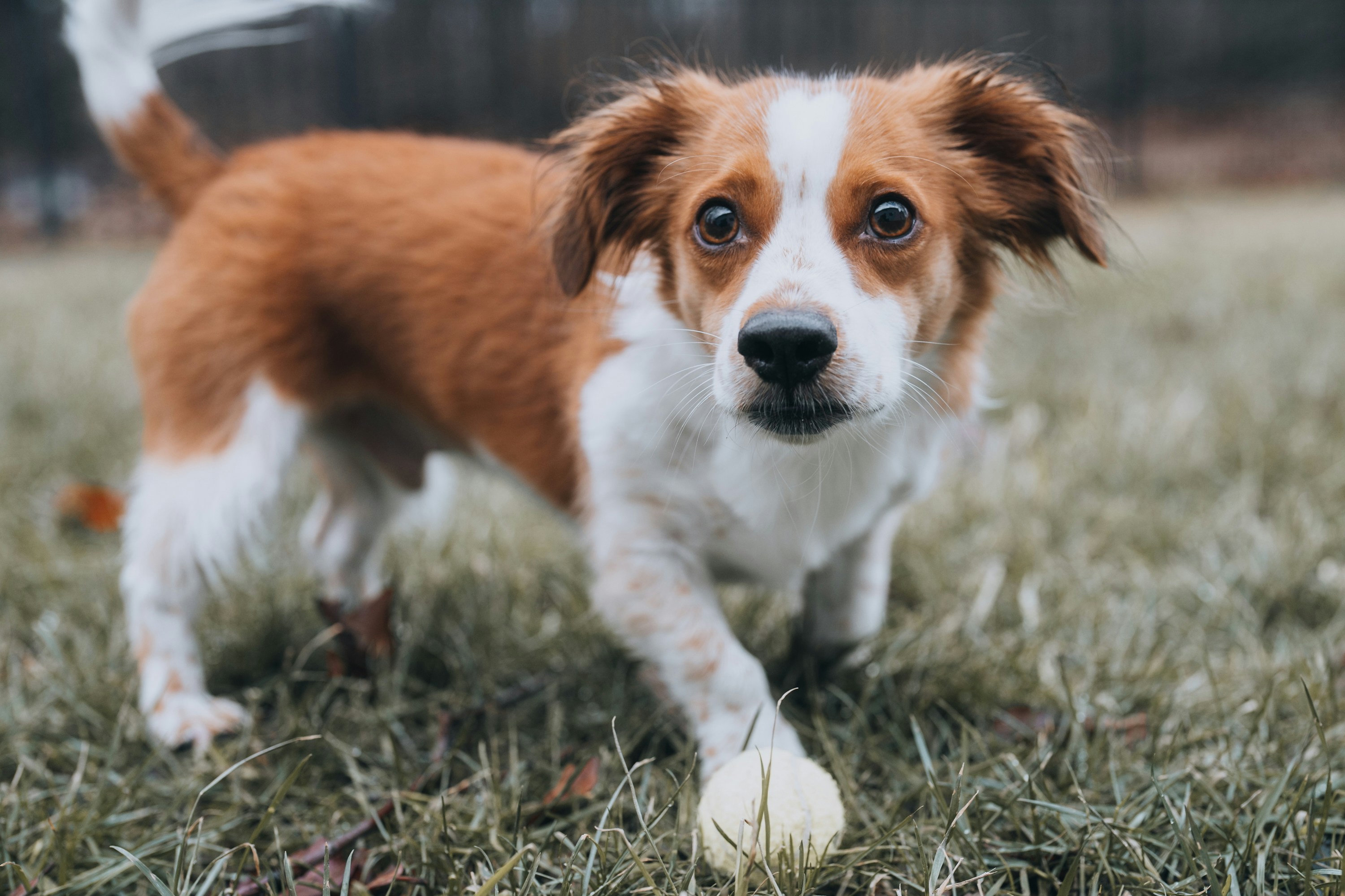 Photo by bugsandslugs