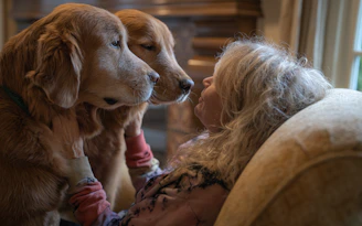 A woman sitting on a couch with two dogs