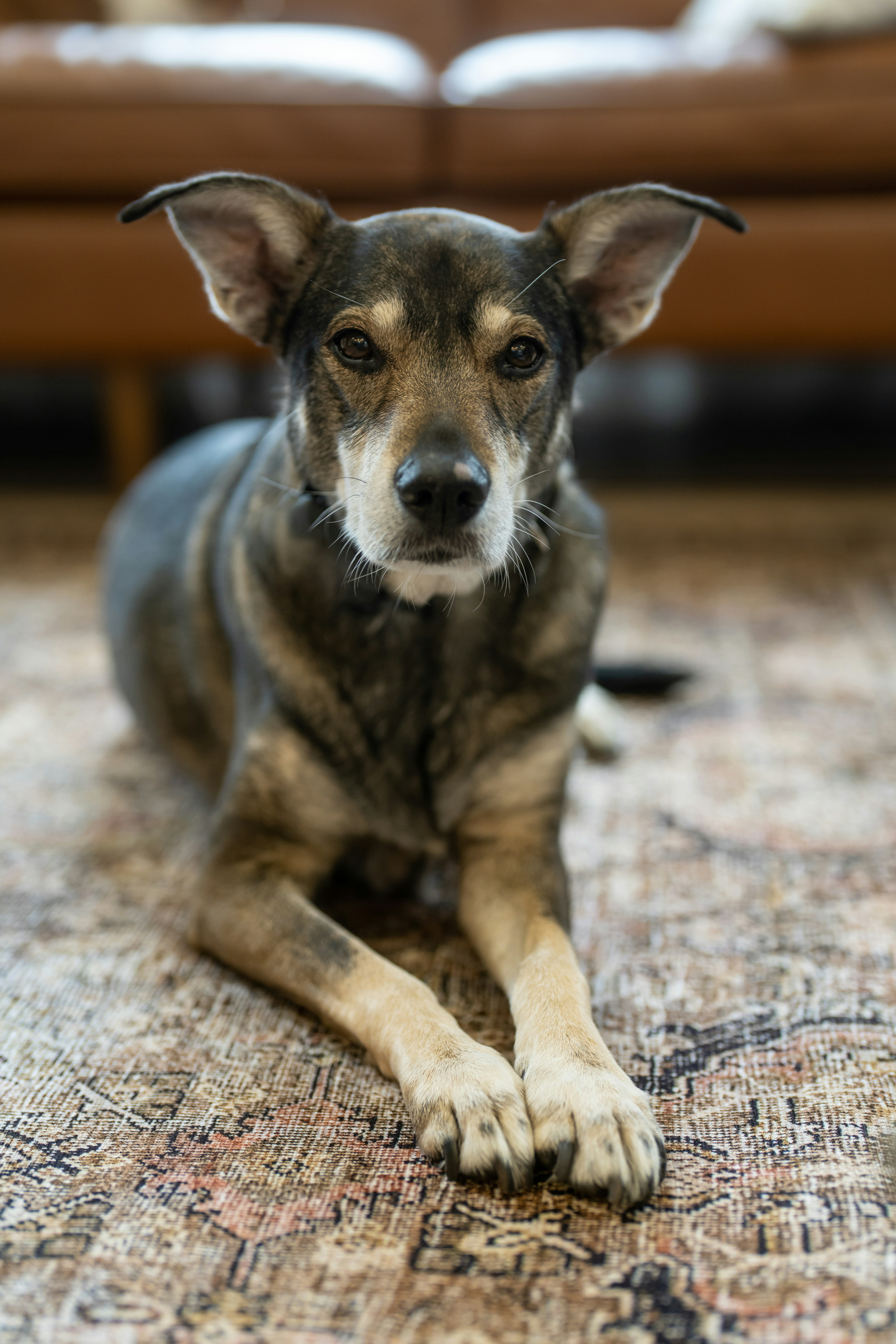 Photo by bugsandslugs