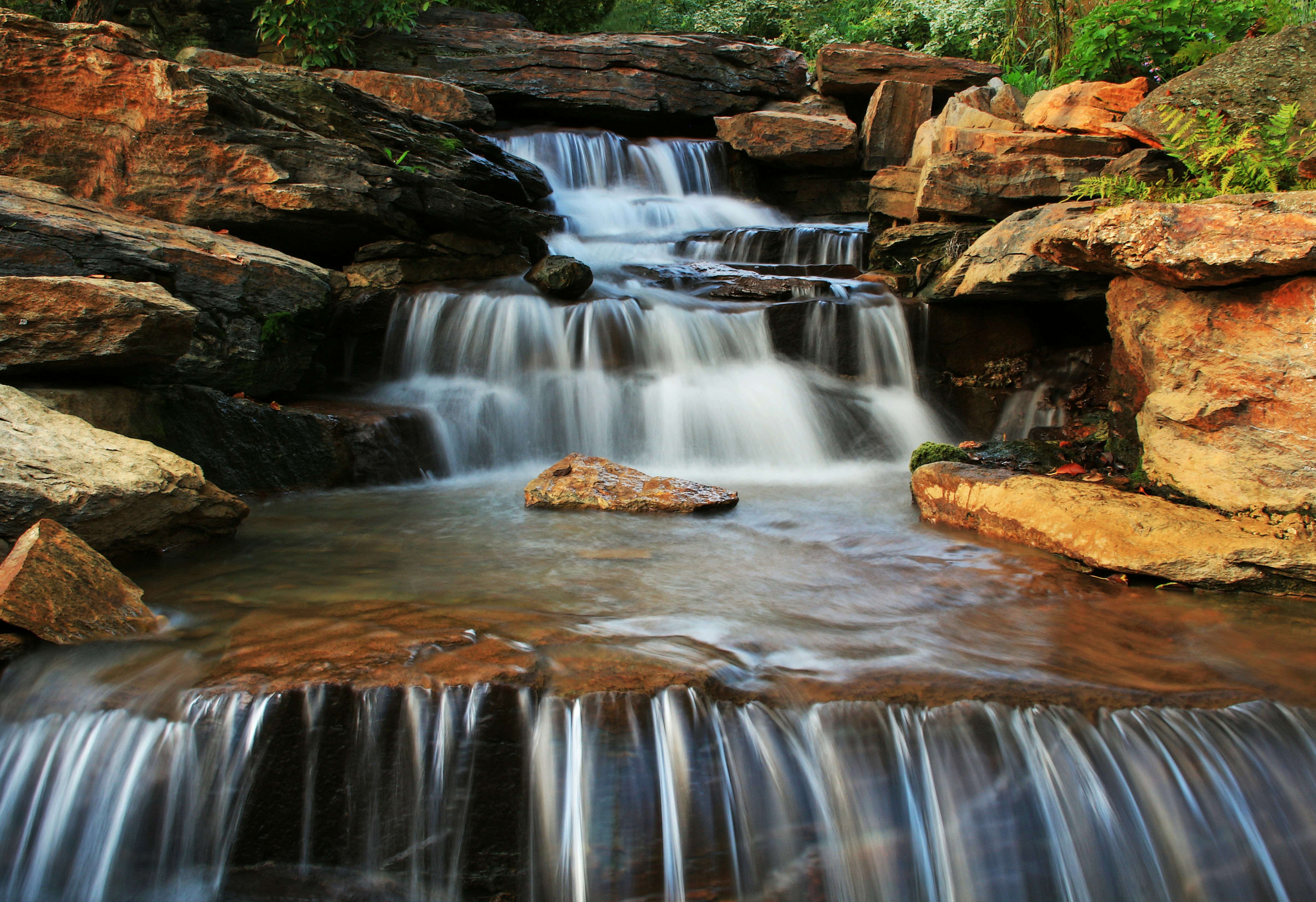 Photo by john_cardamone