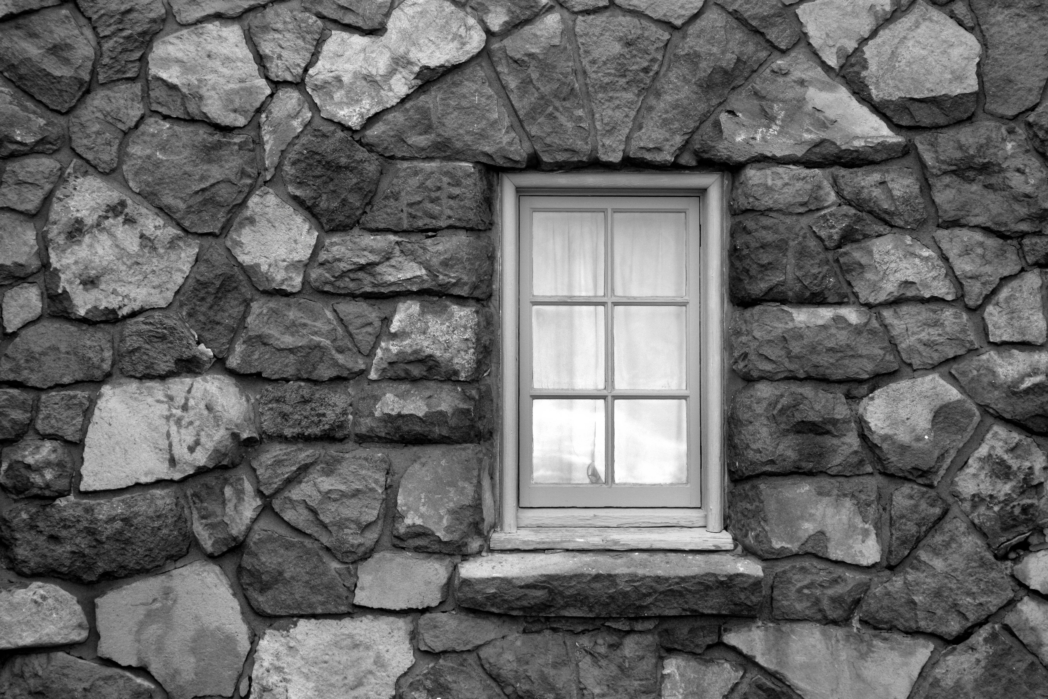 Photo by john_cardamone