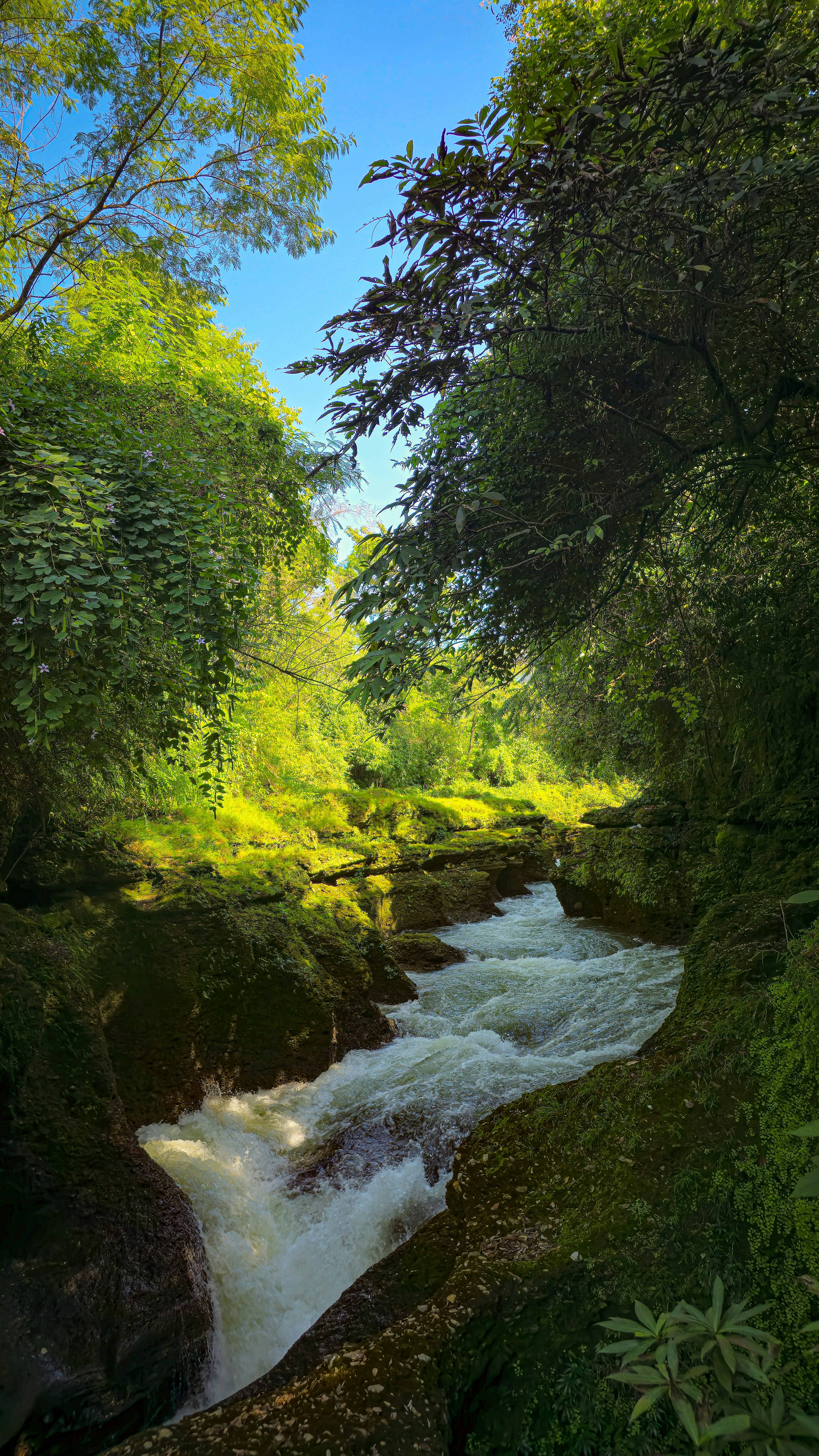 Photo by luminous___