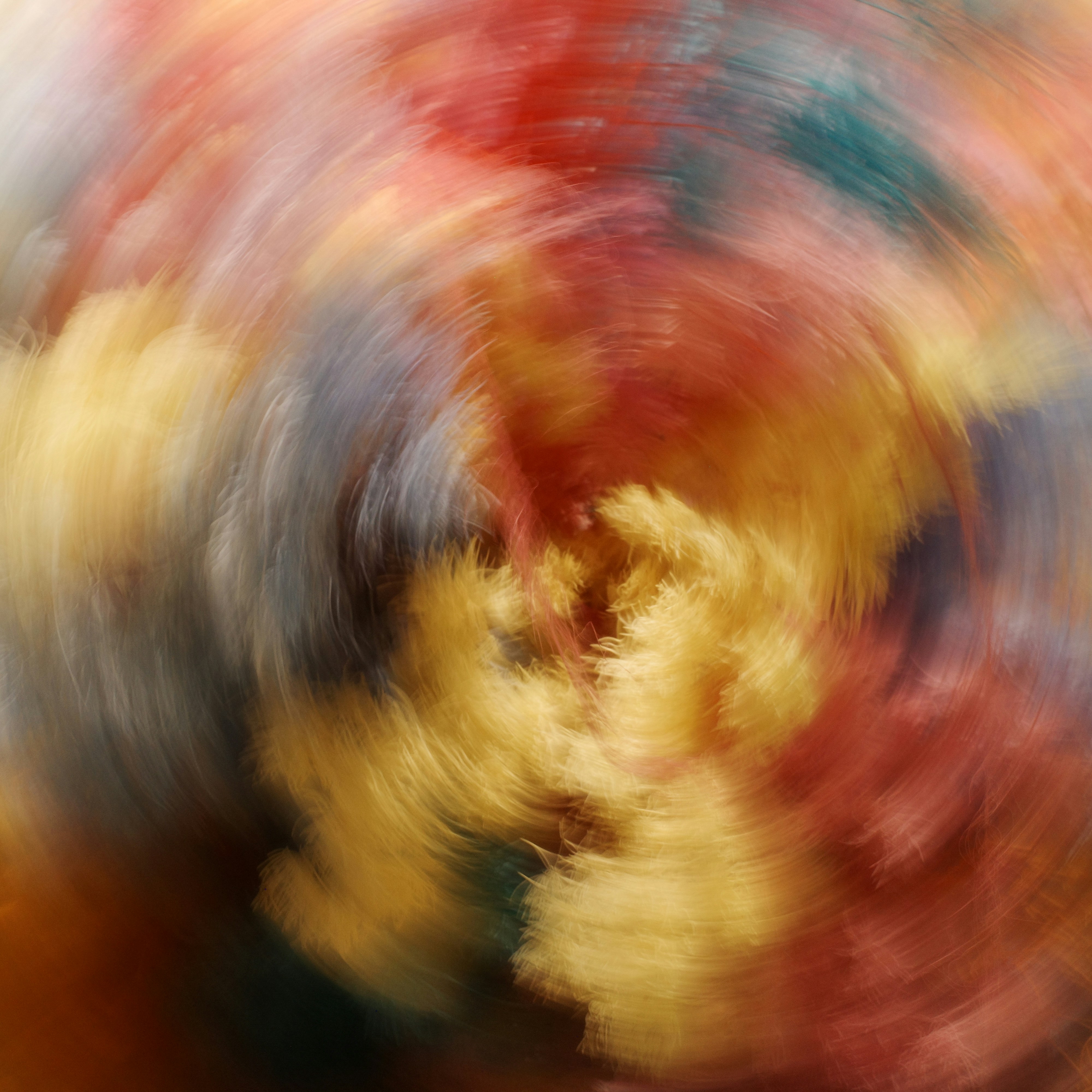 Photo by dickenslin76