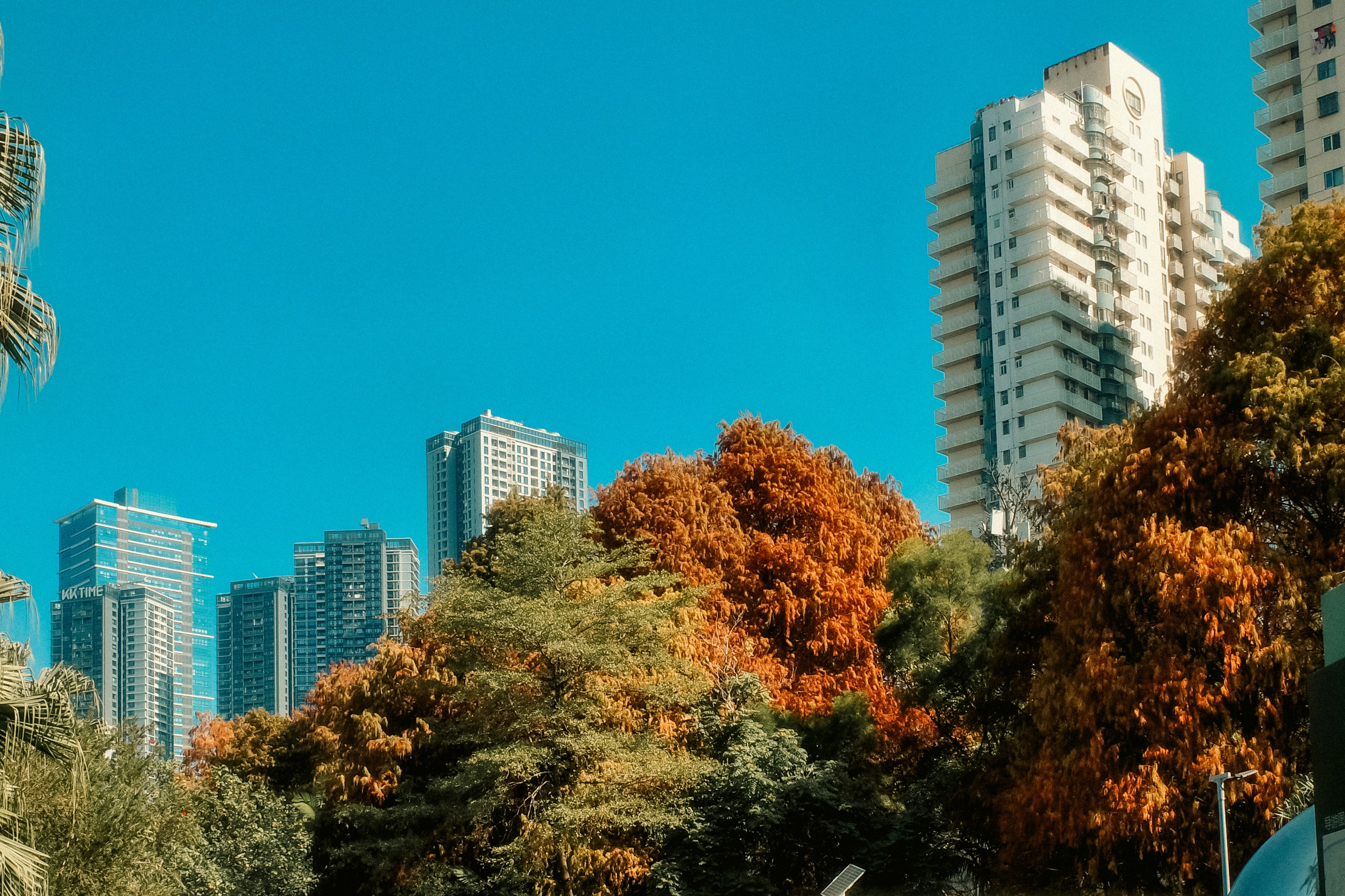 Photo by dickenslin76