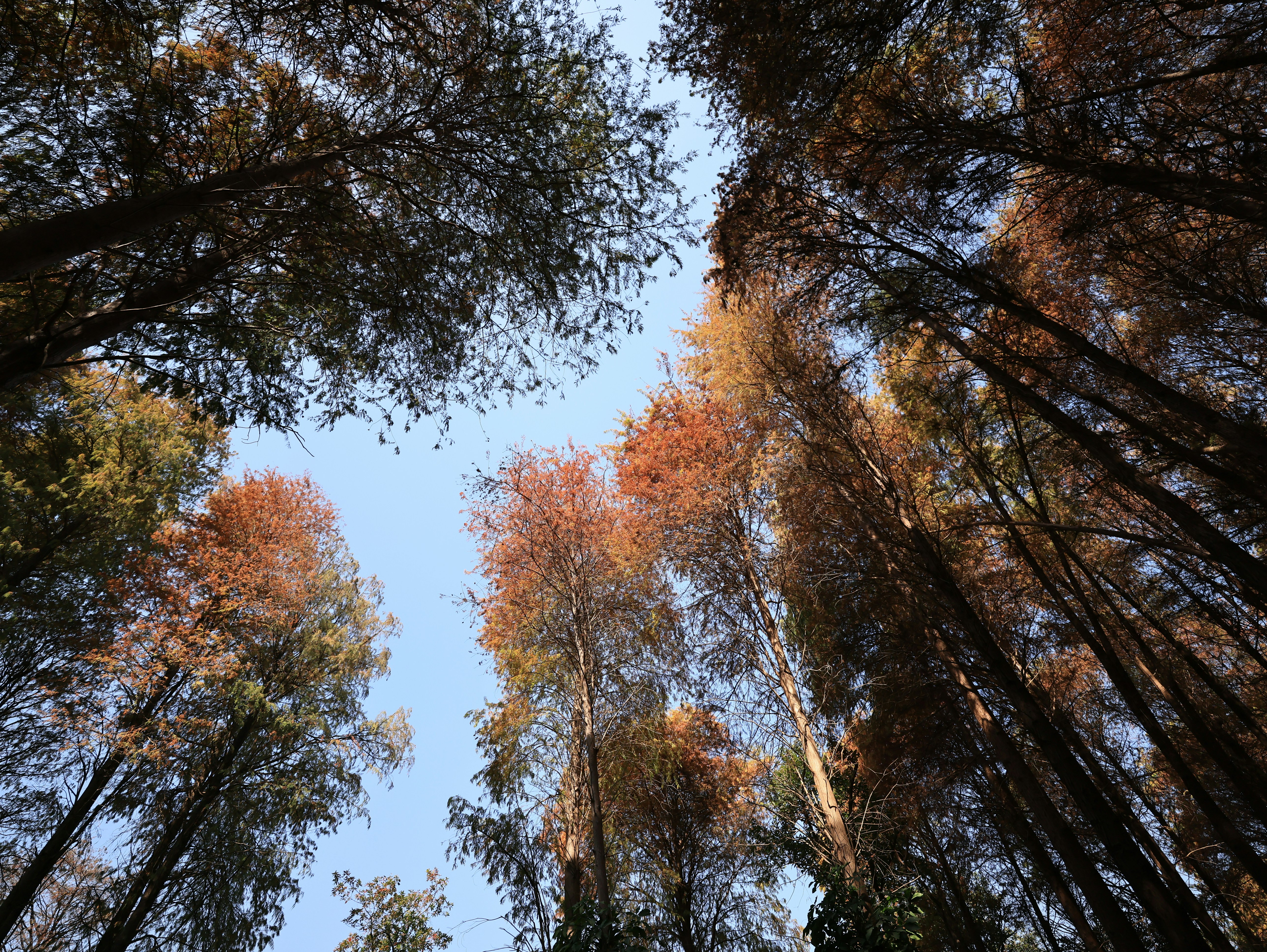 Photo by dickenslin76