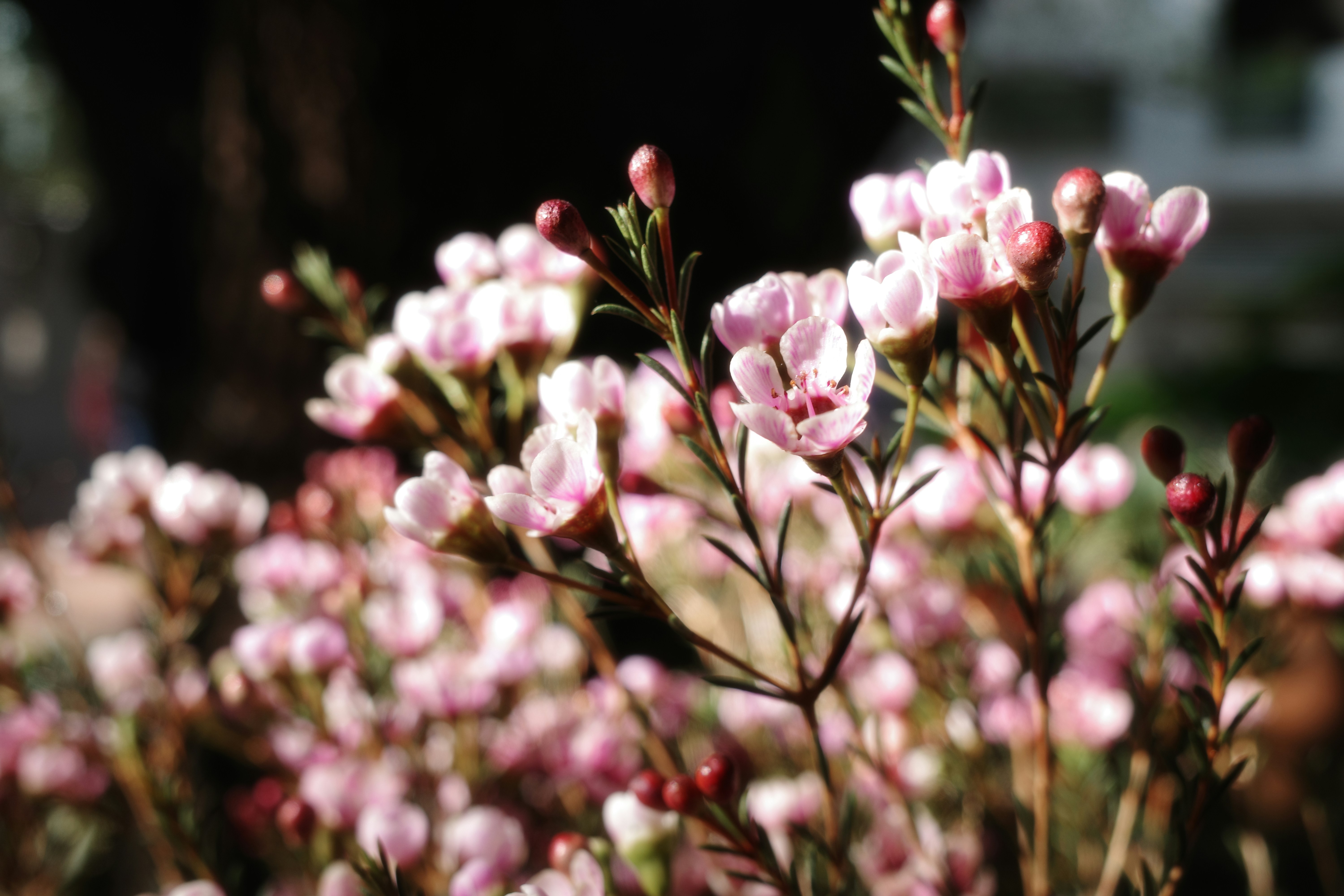 Photo by dickenslin76