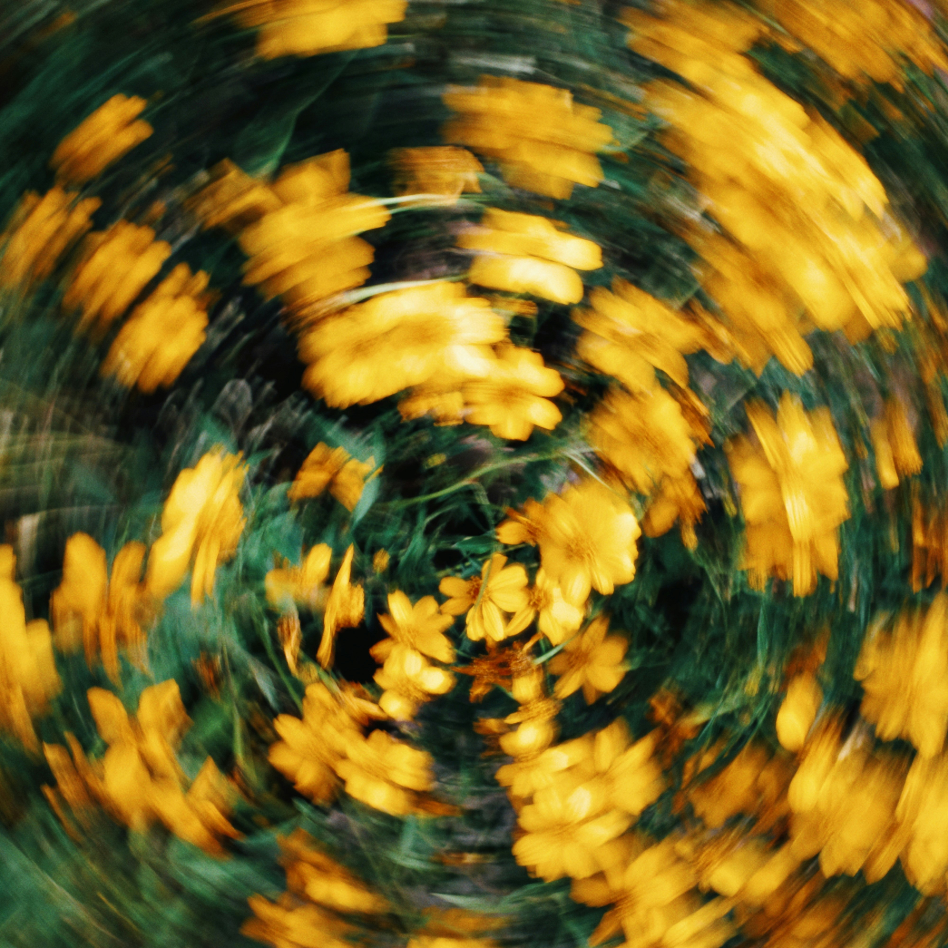 Photo by dickenslin76