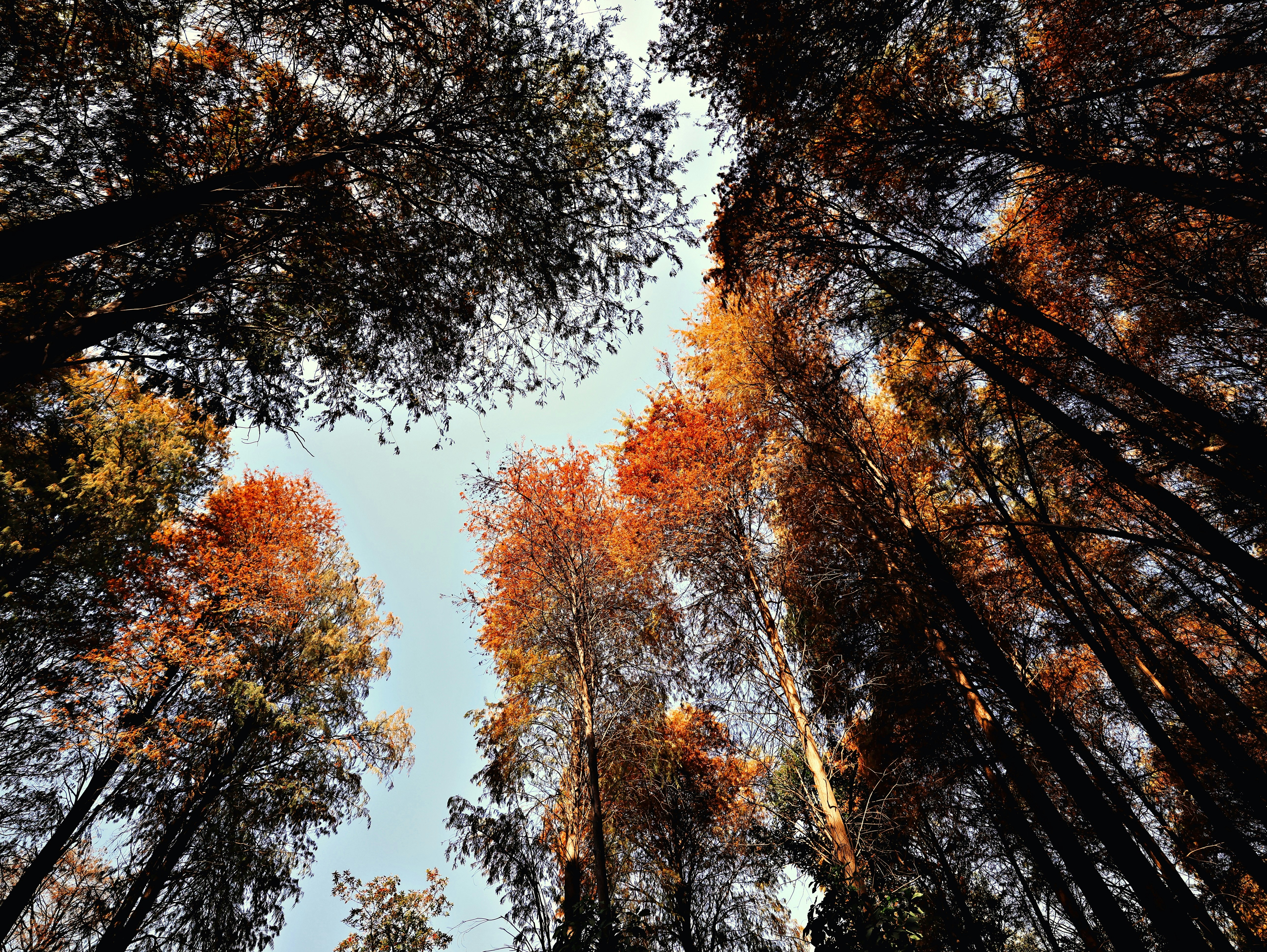 Photo by dickenslin76