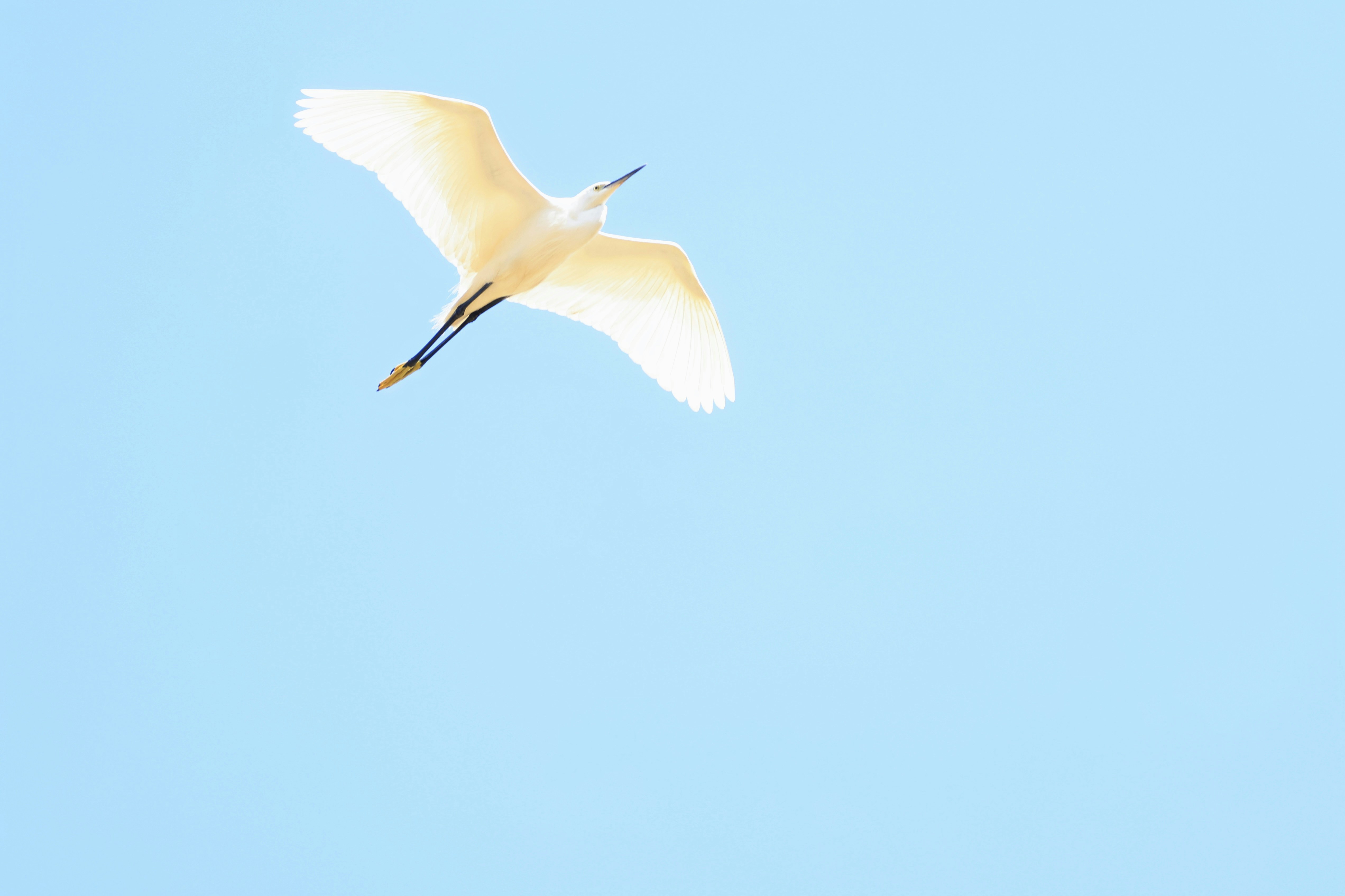 Photo by dickenslin76