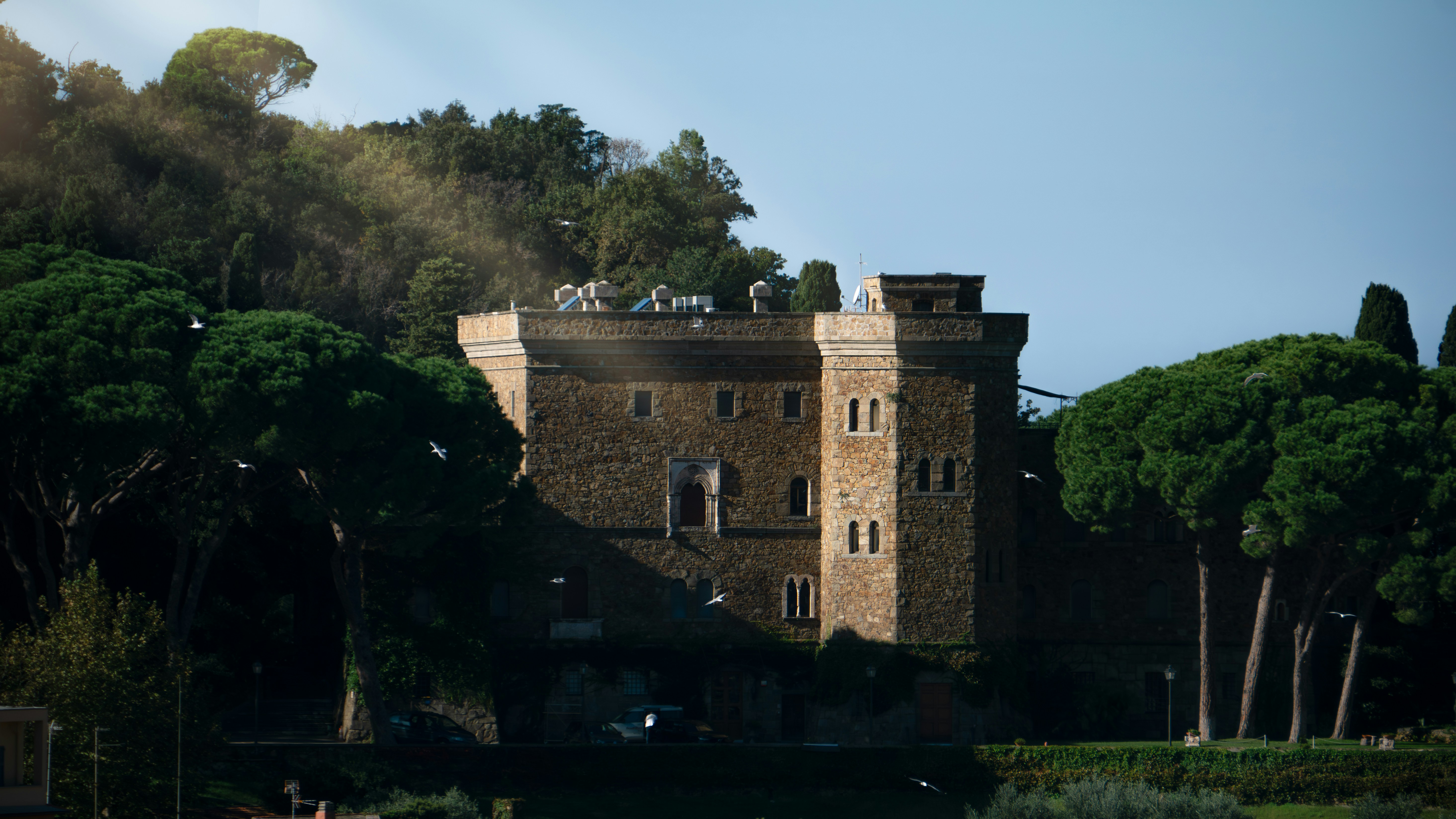 Photo by elias_anzani11