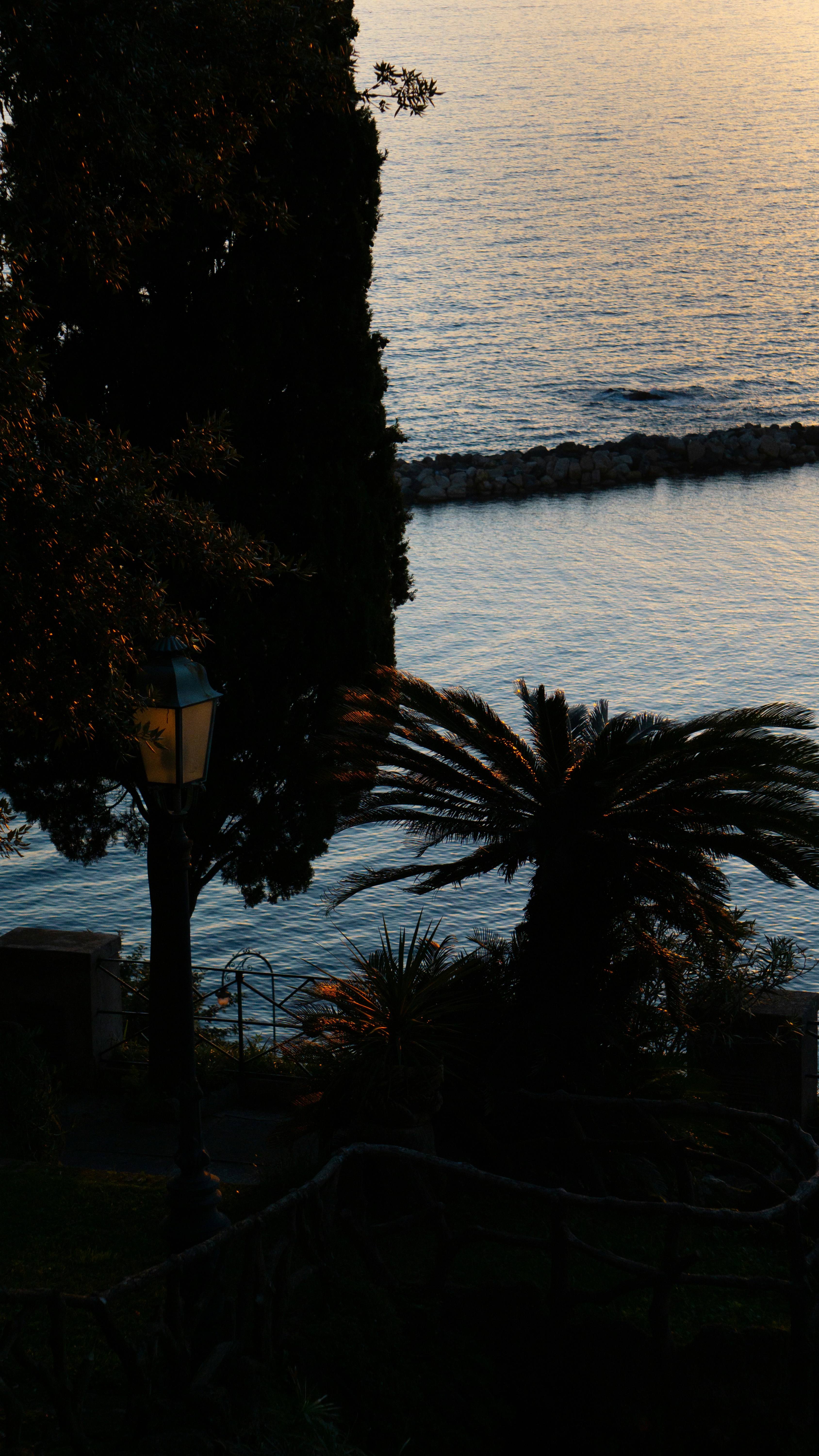 Photo by elias_anzani11