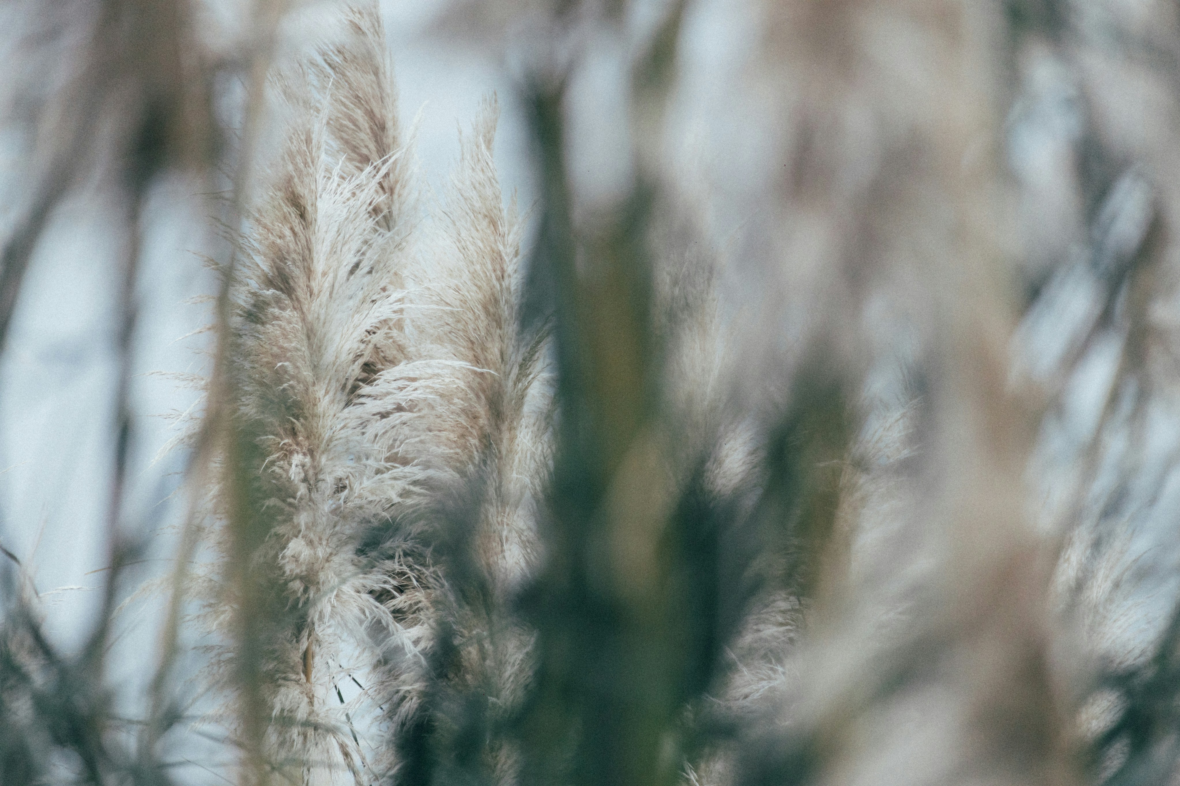 Photo by tsuyoshikozu