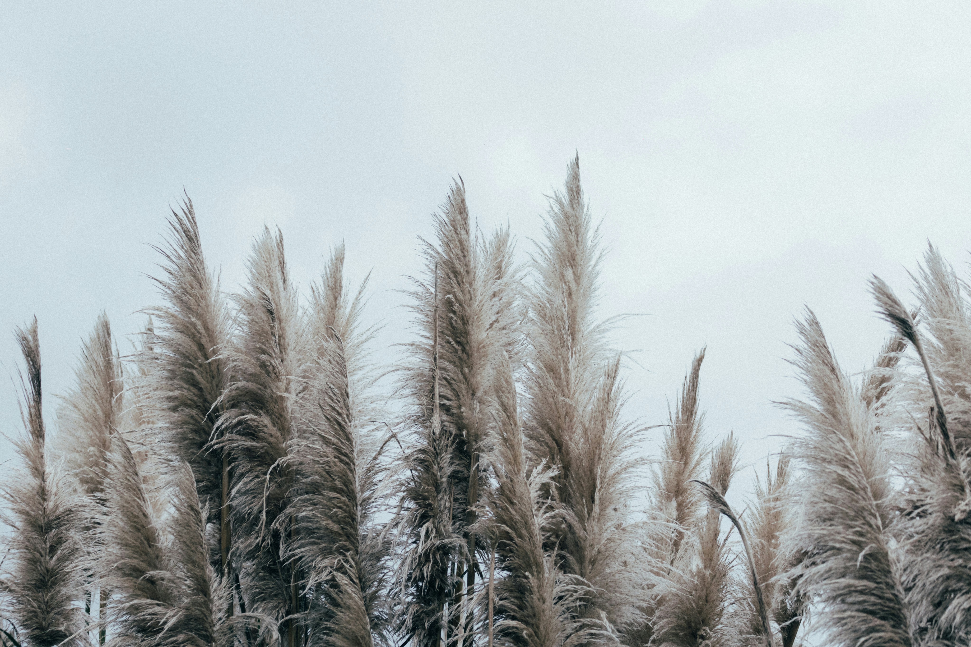 Photo by tsuyoshikozu