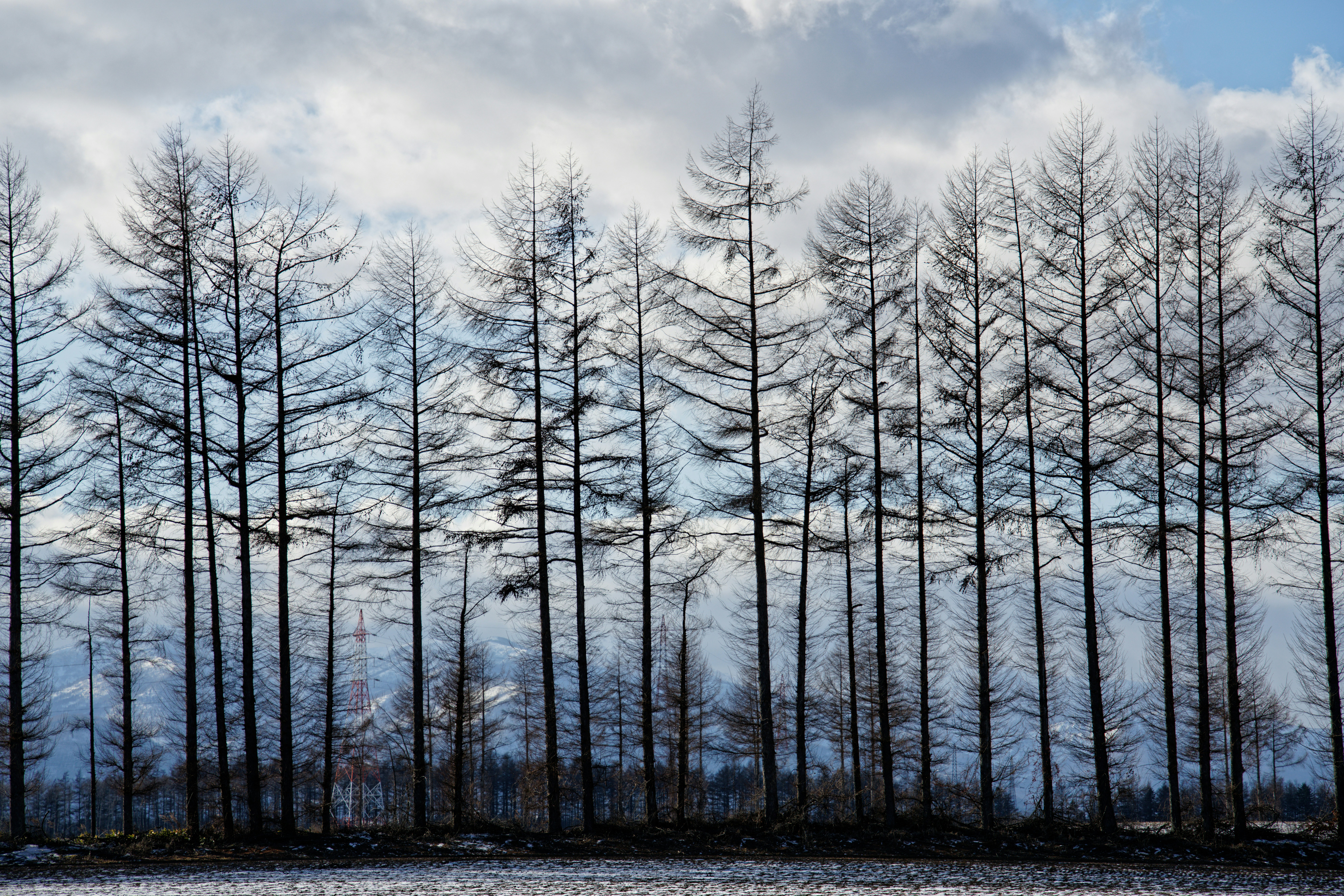 Photo by da_shika_photo