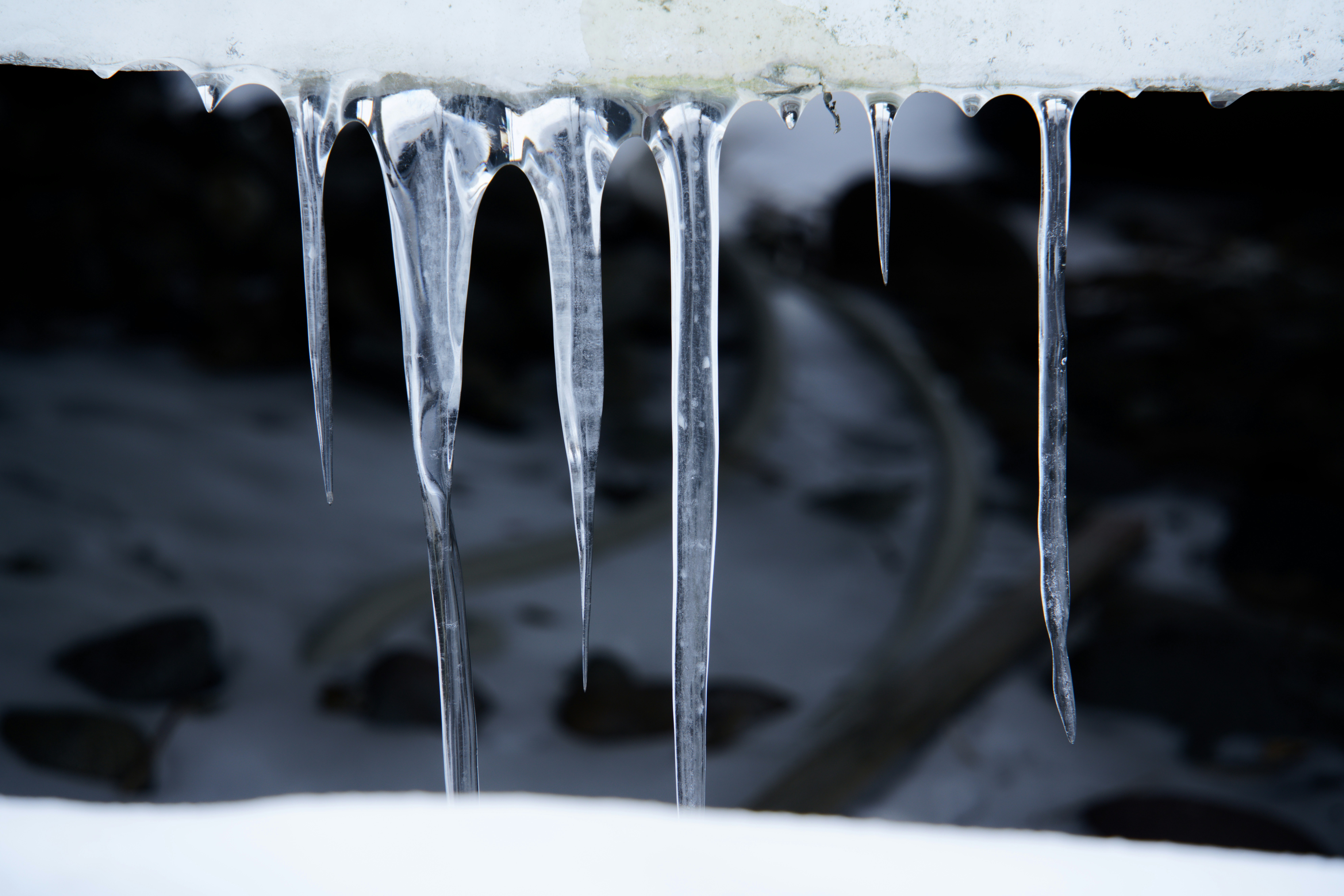 Photo by da_shika_photo