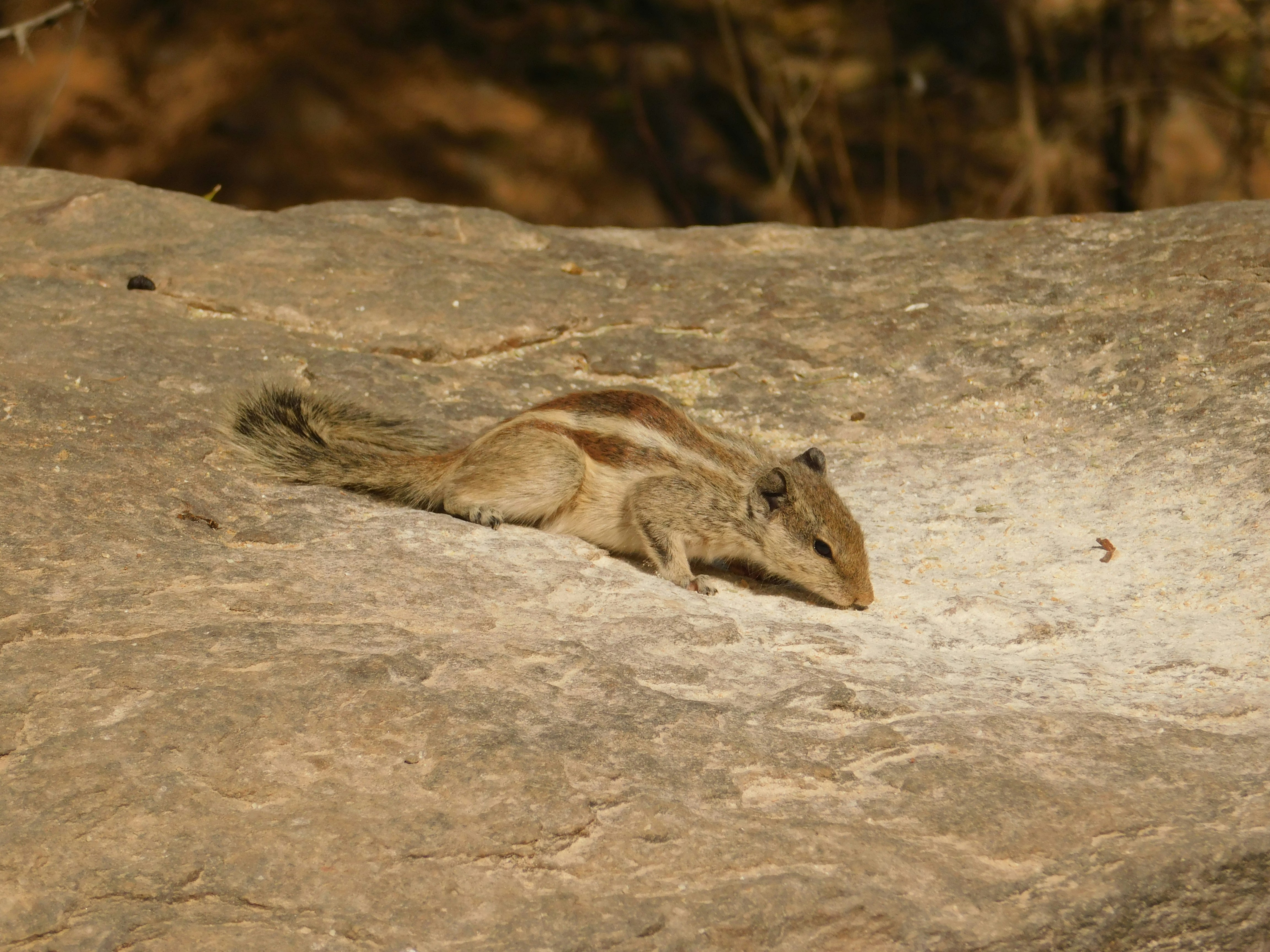 Photo by innocent_killer