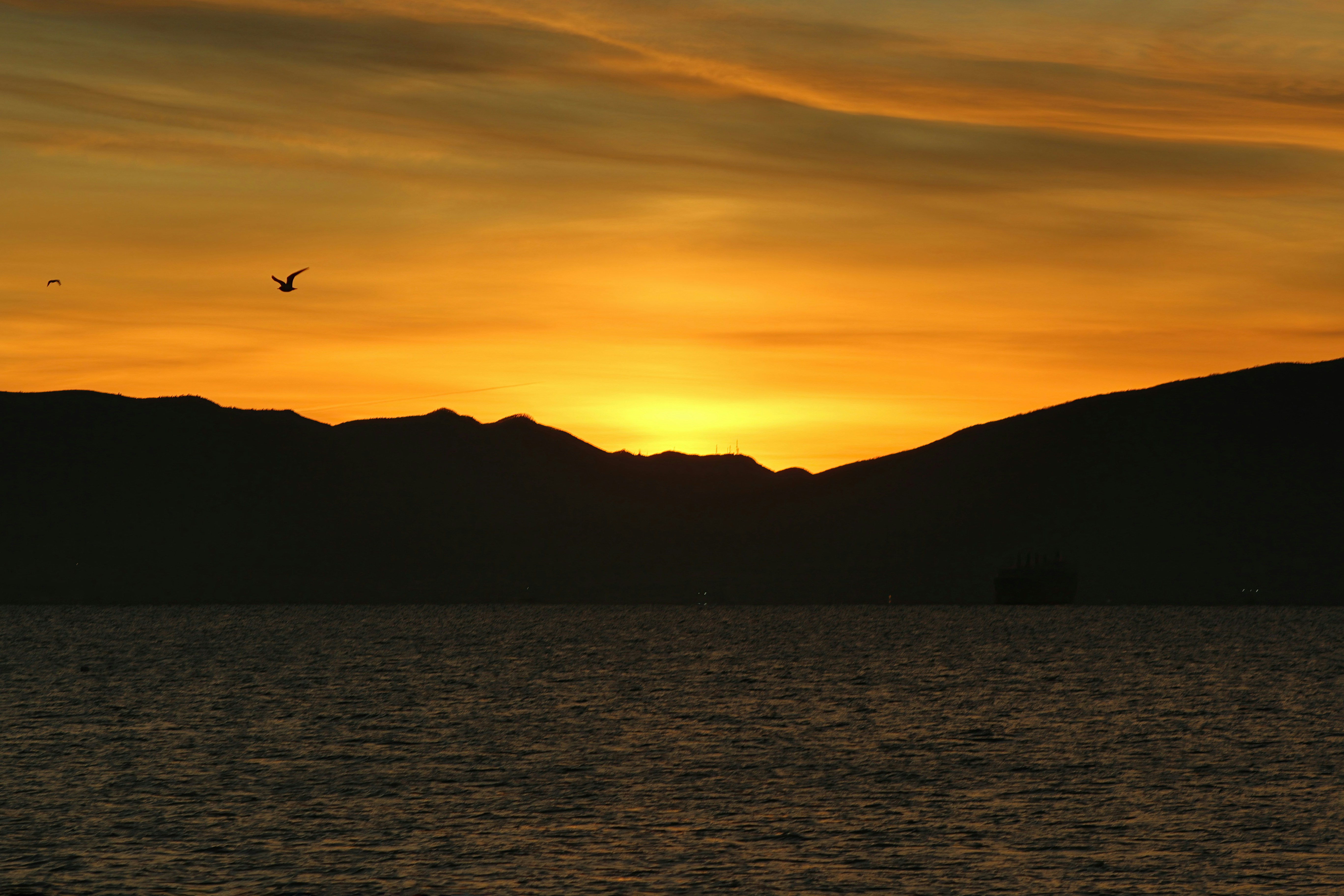 Photo by stepan_konev