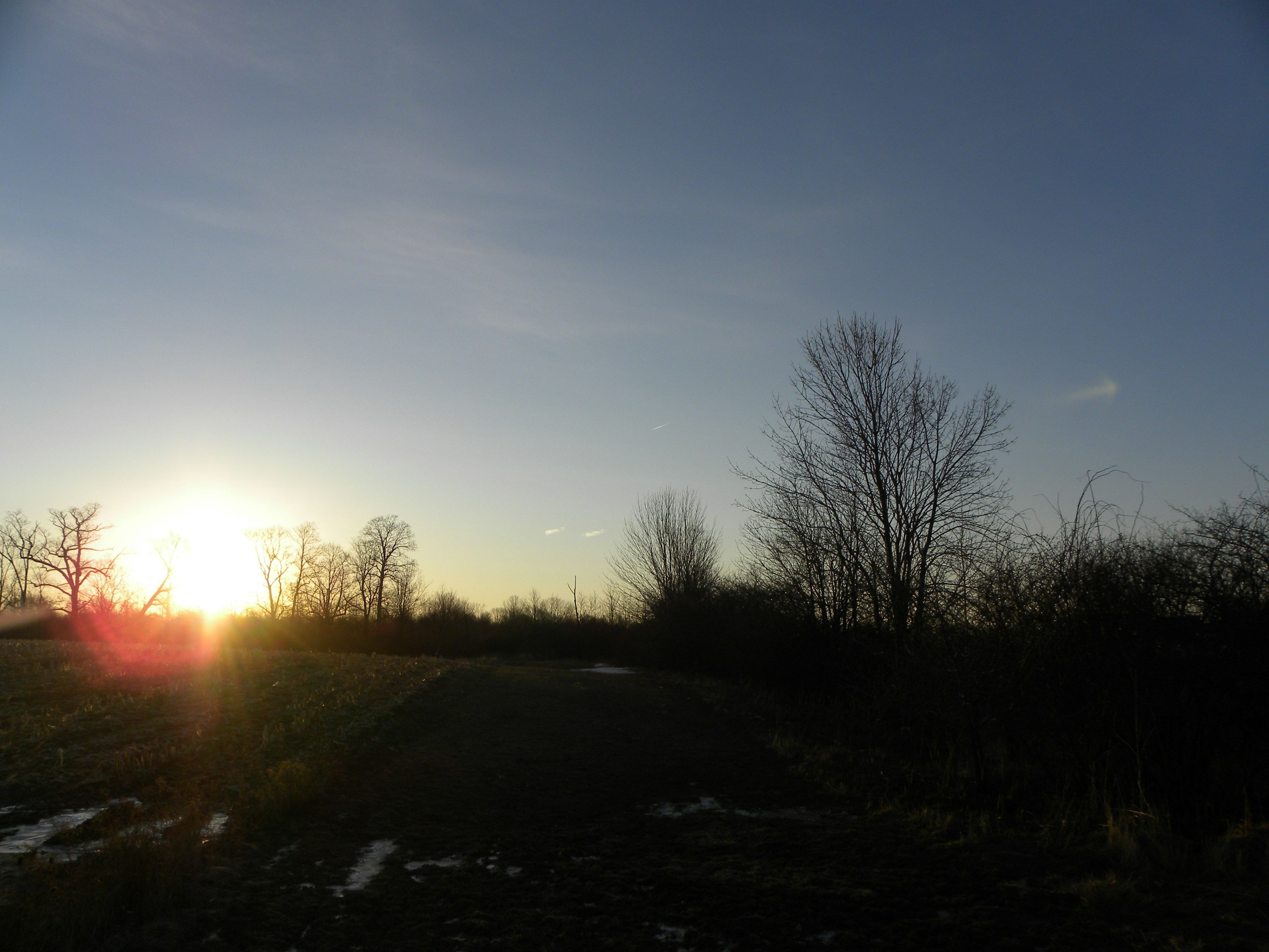 Photo by dunigan