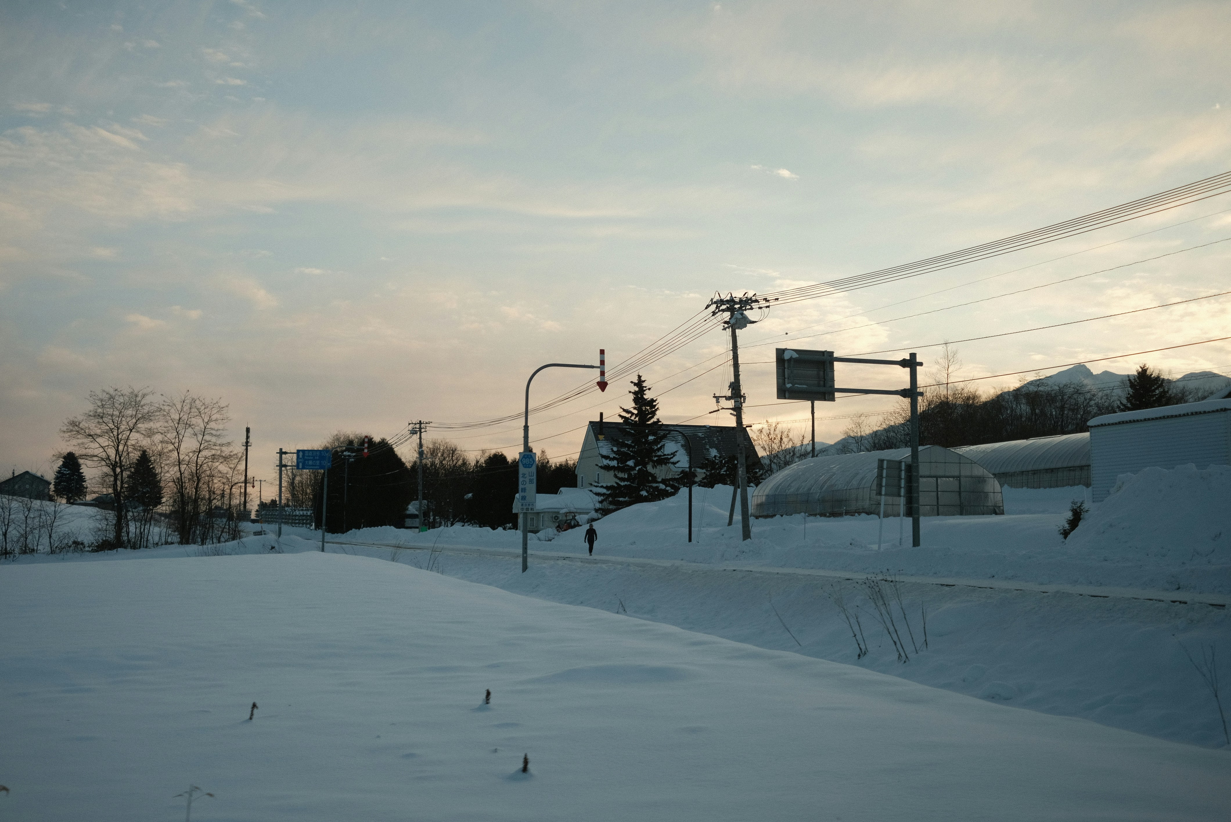 Photo by d_ks11