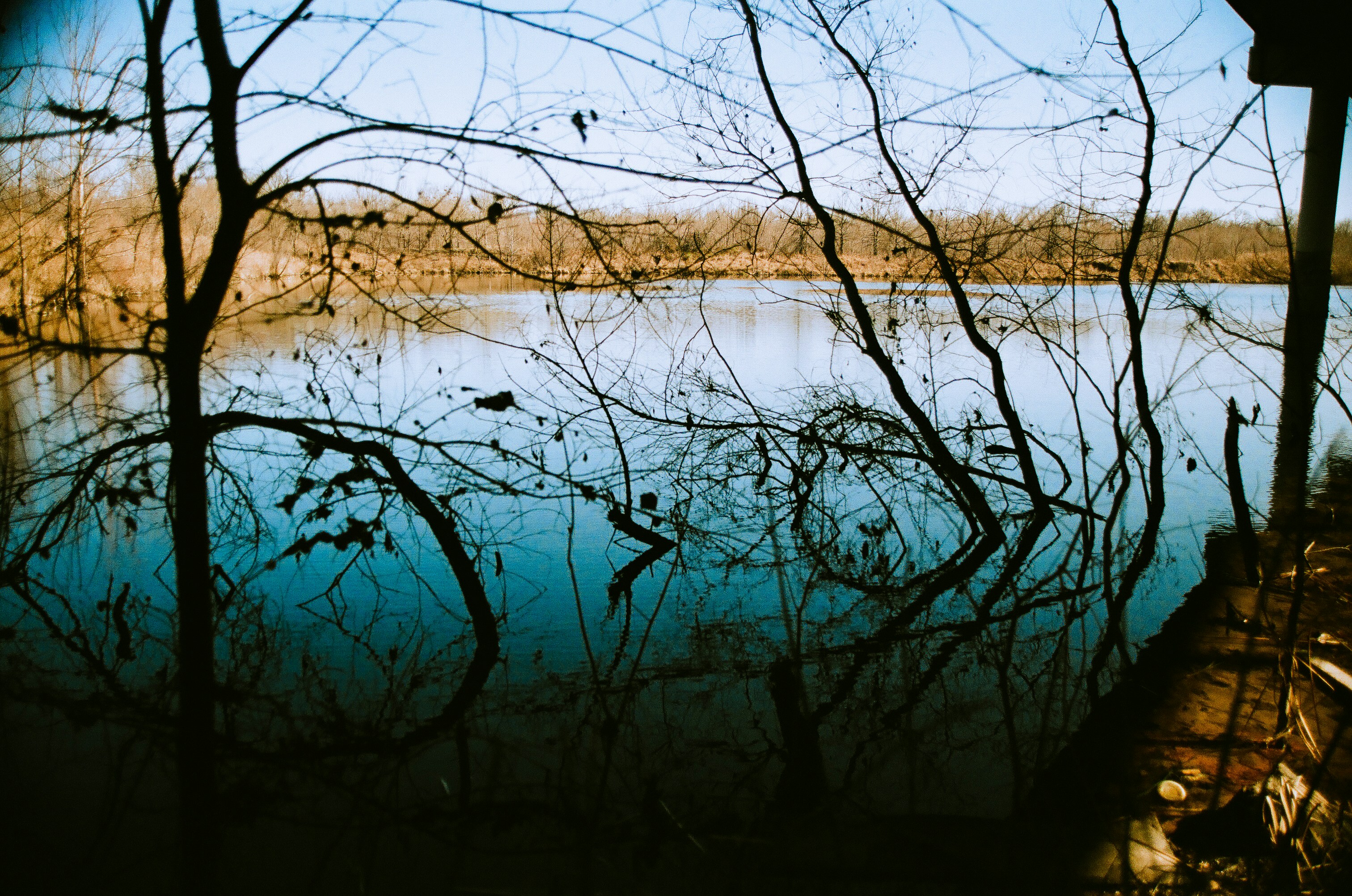 Photo by syrenofisys