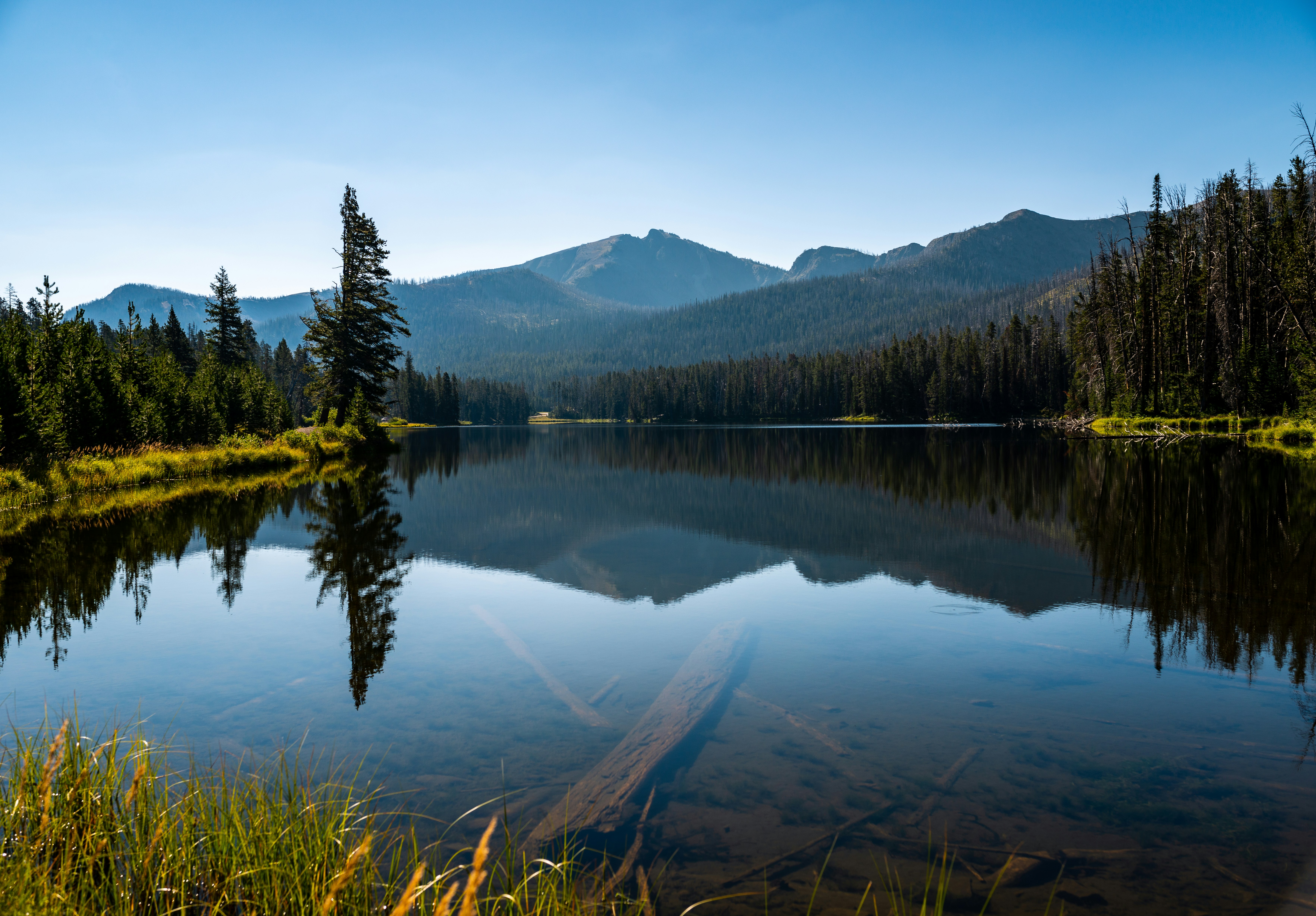 Photo by syrenofisys