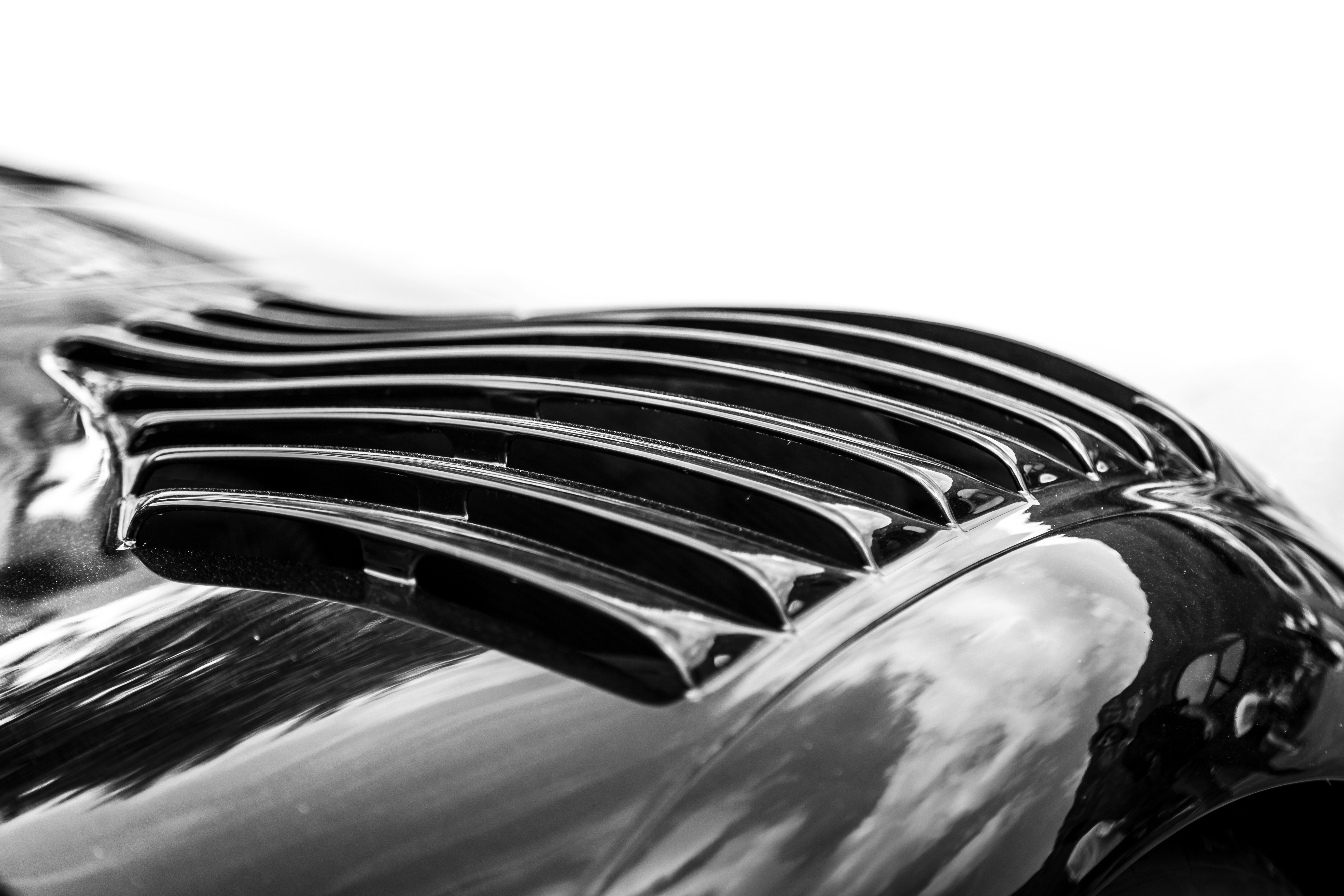 Photo by quentin_martinez