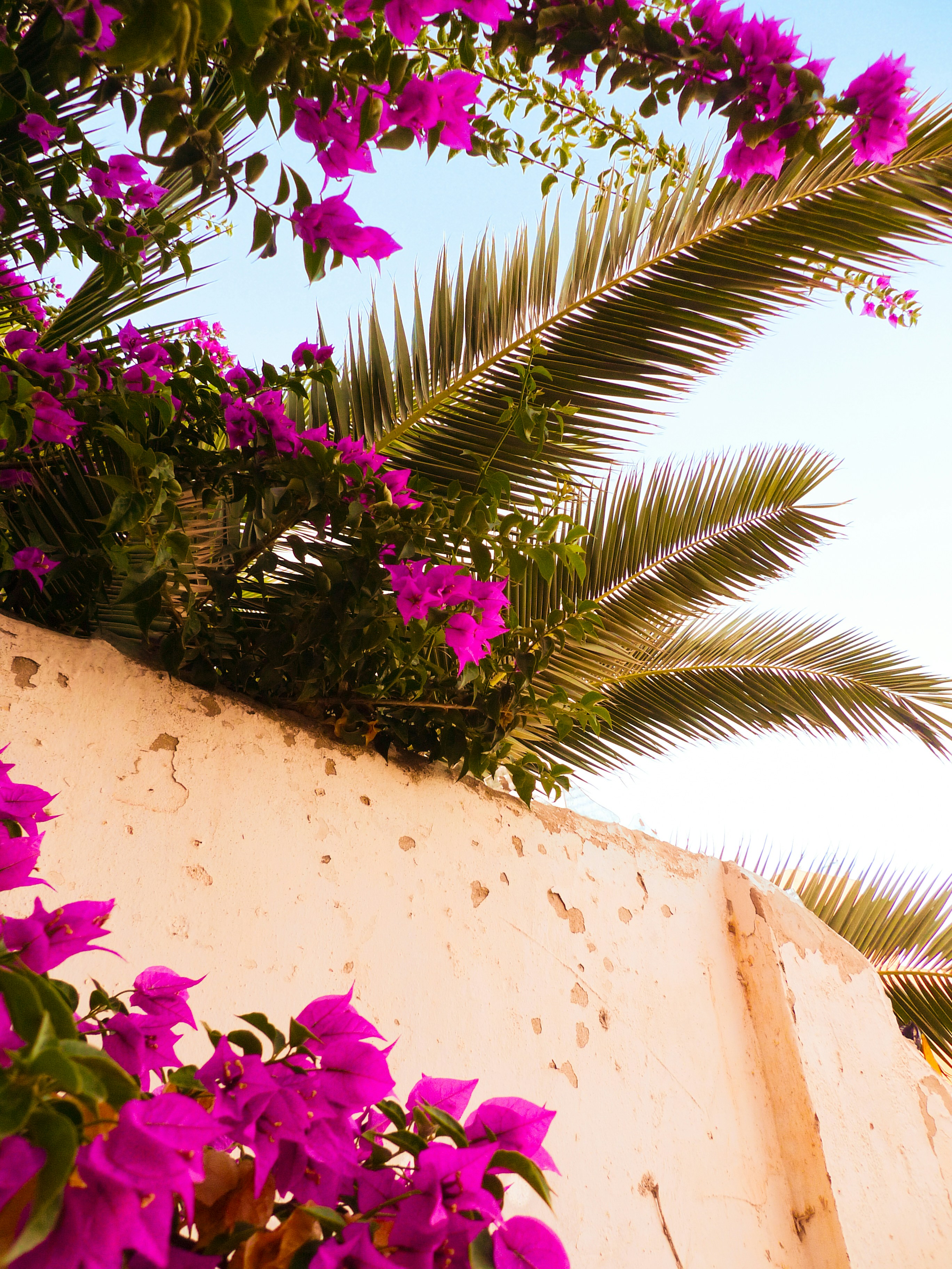 Photo by visualsbying