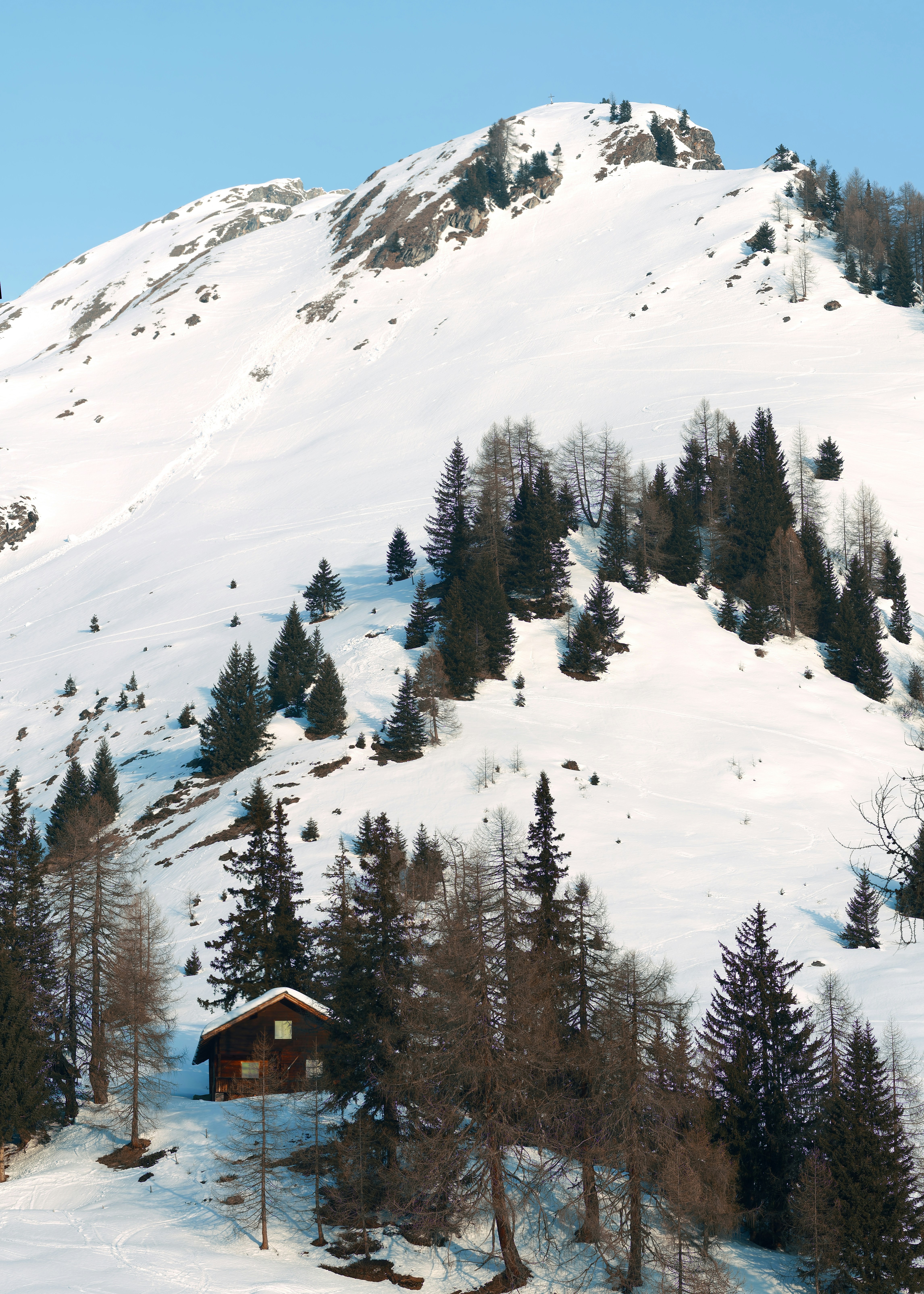 Photo by simon_berger