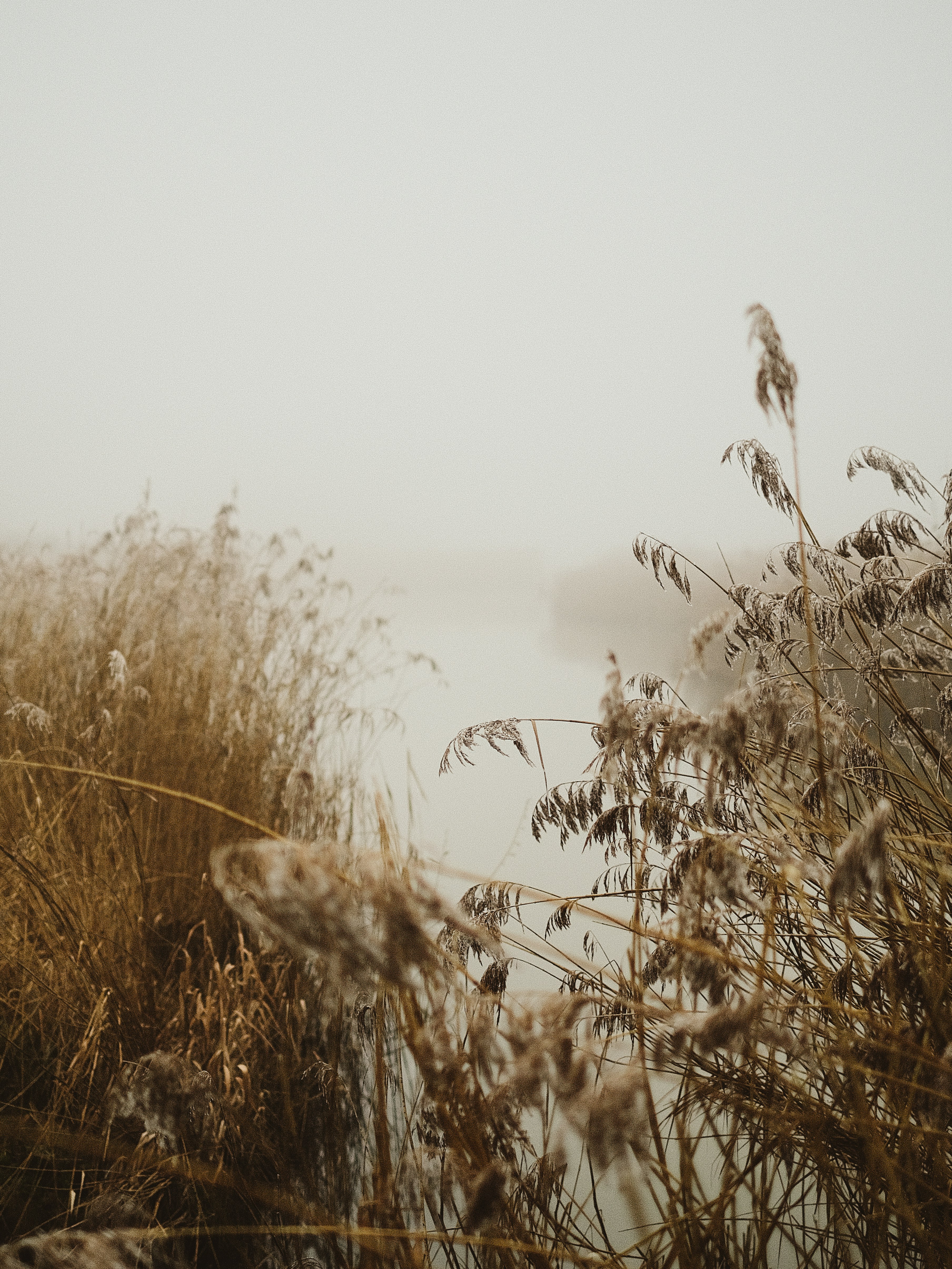 Photo by visualsbying