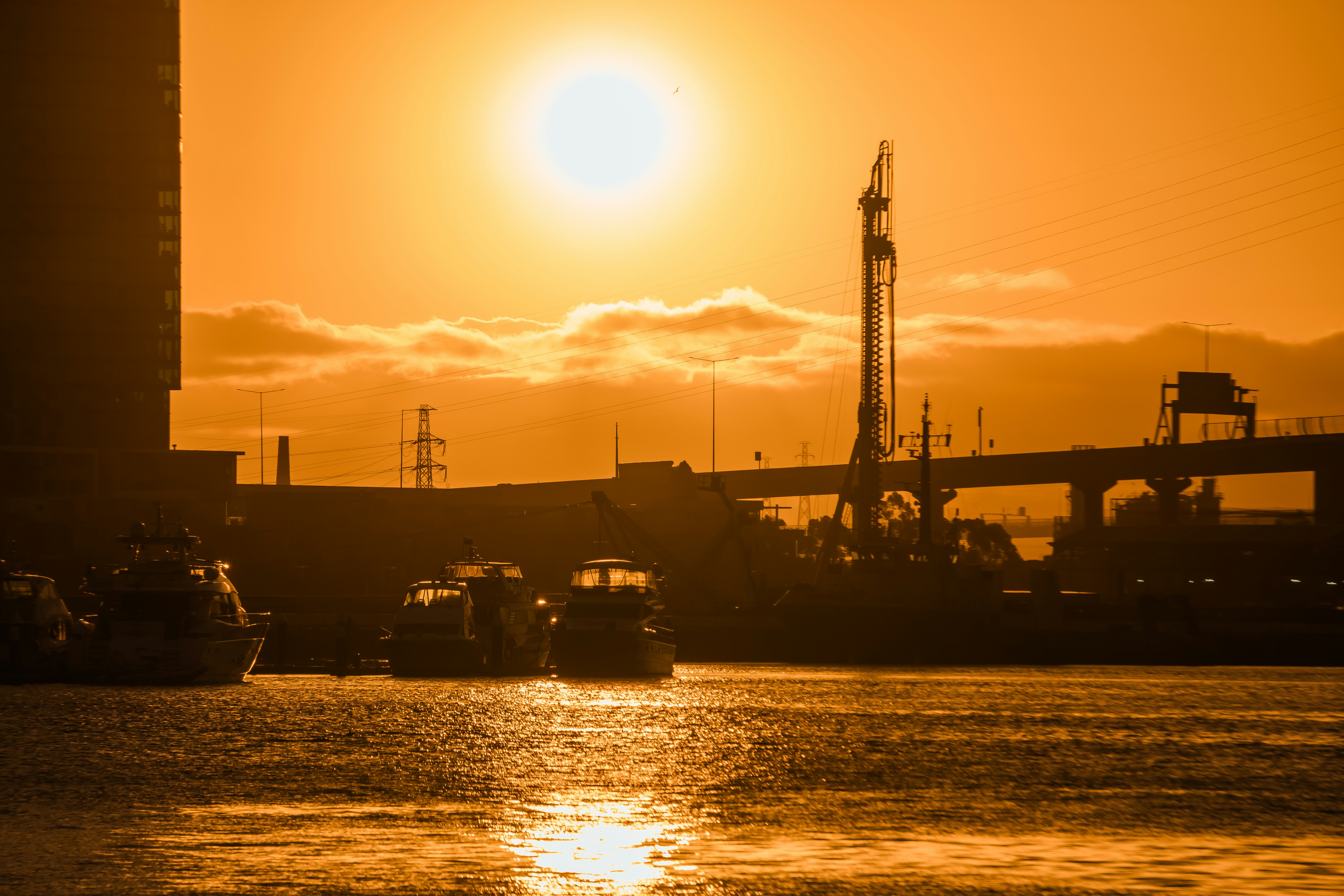 Photo by niko_nguyen_10