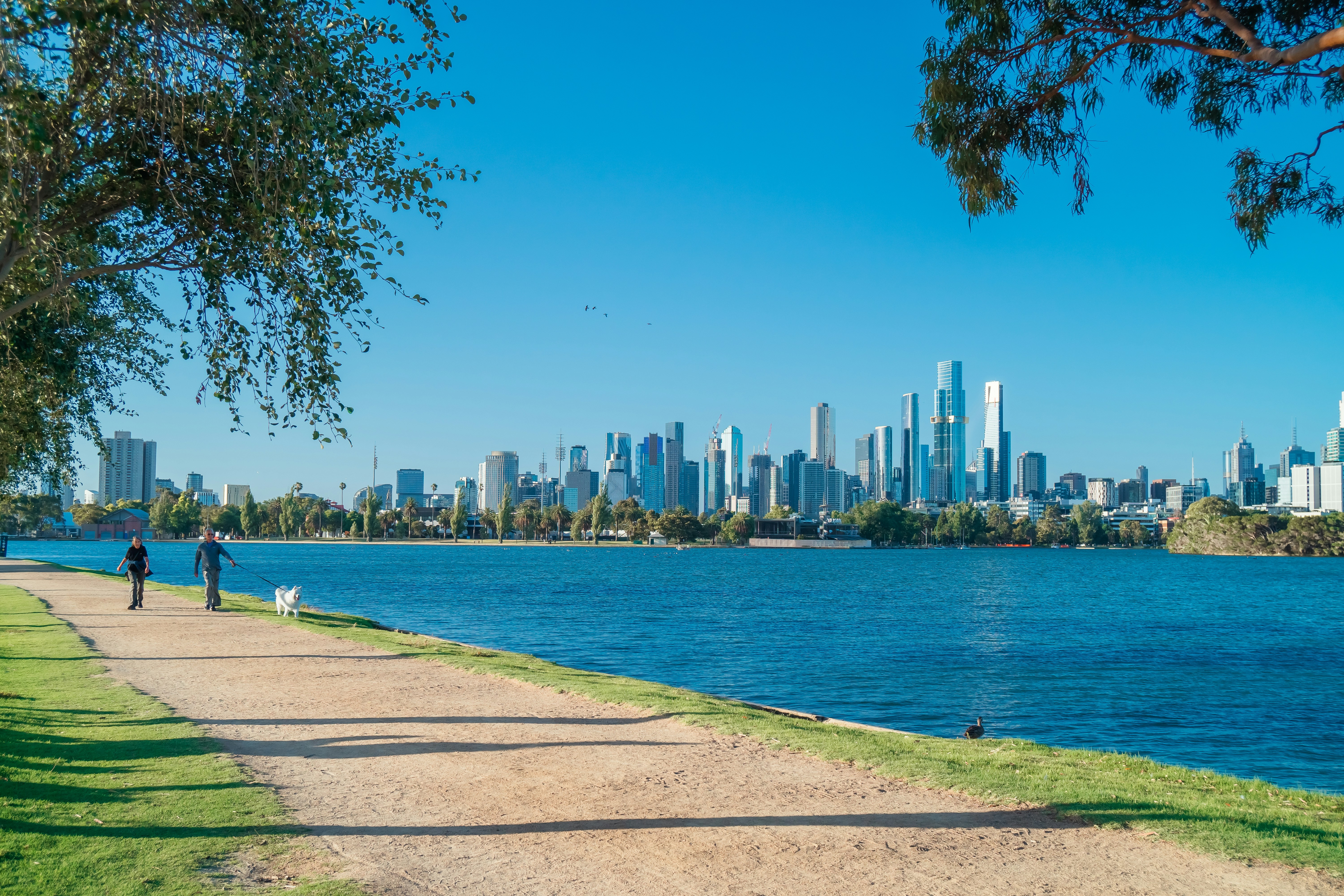 Photo by niko_nguyen_10