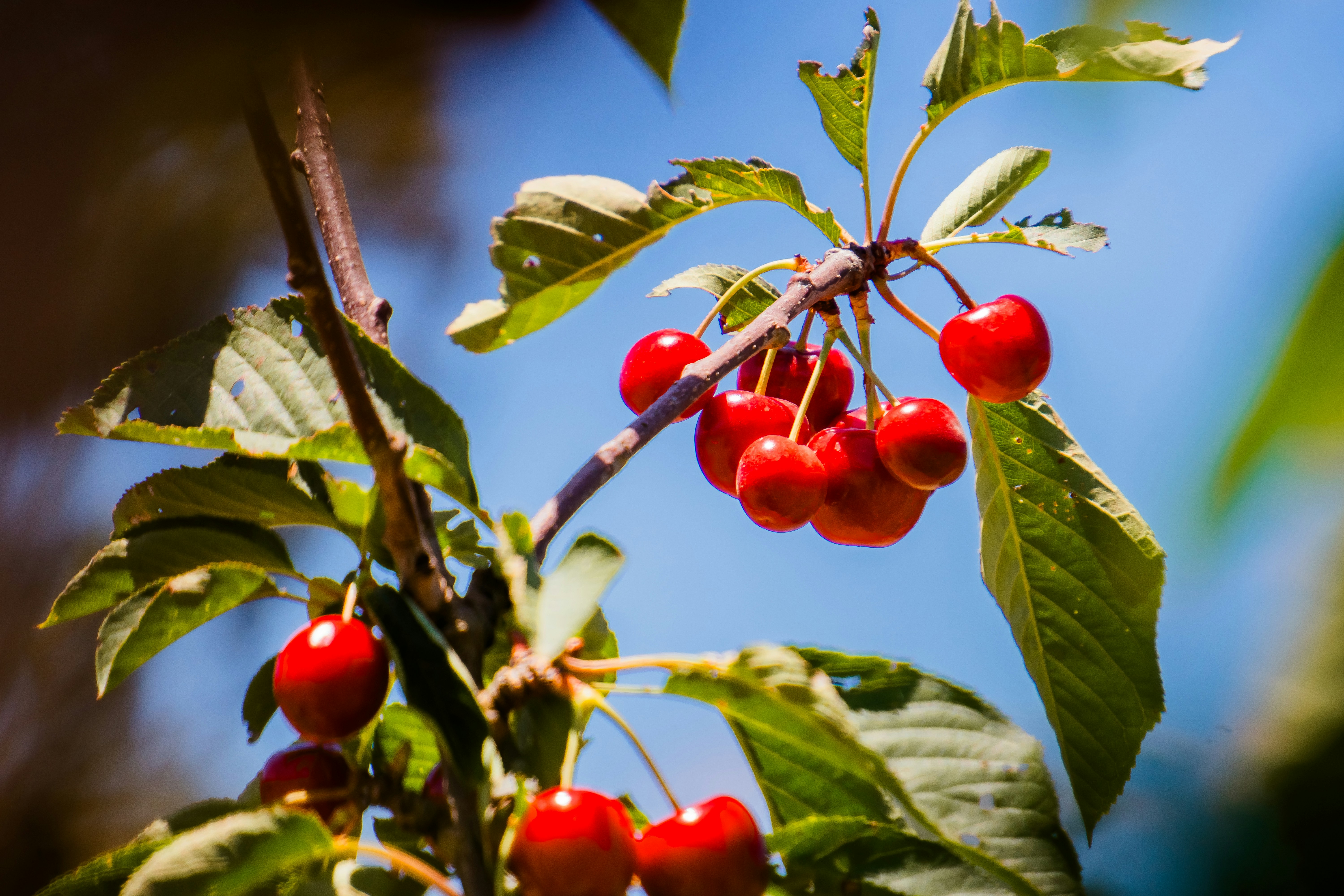 Photo by niko_nguyen_10