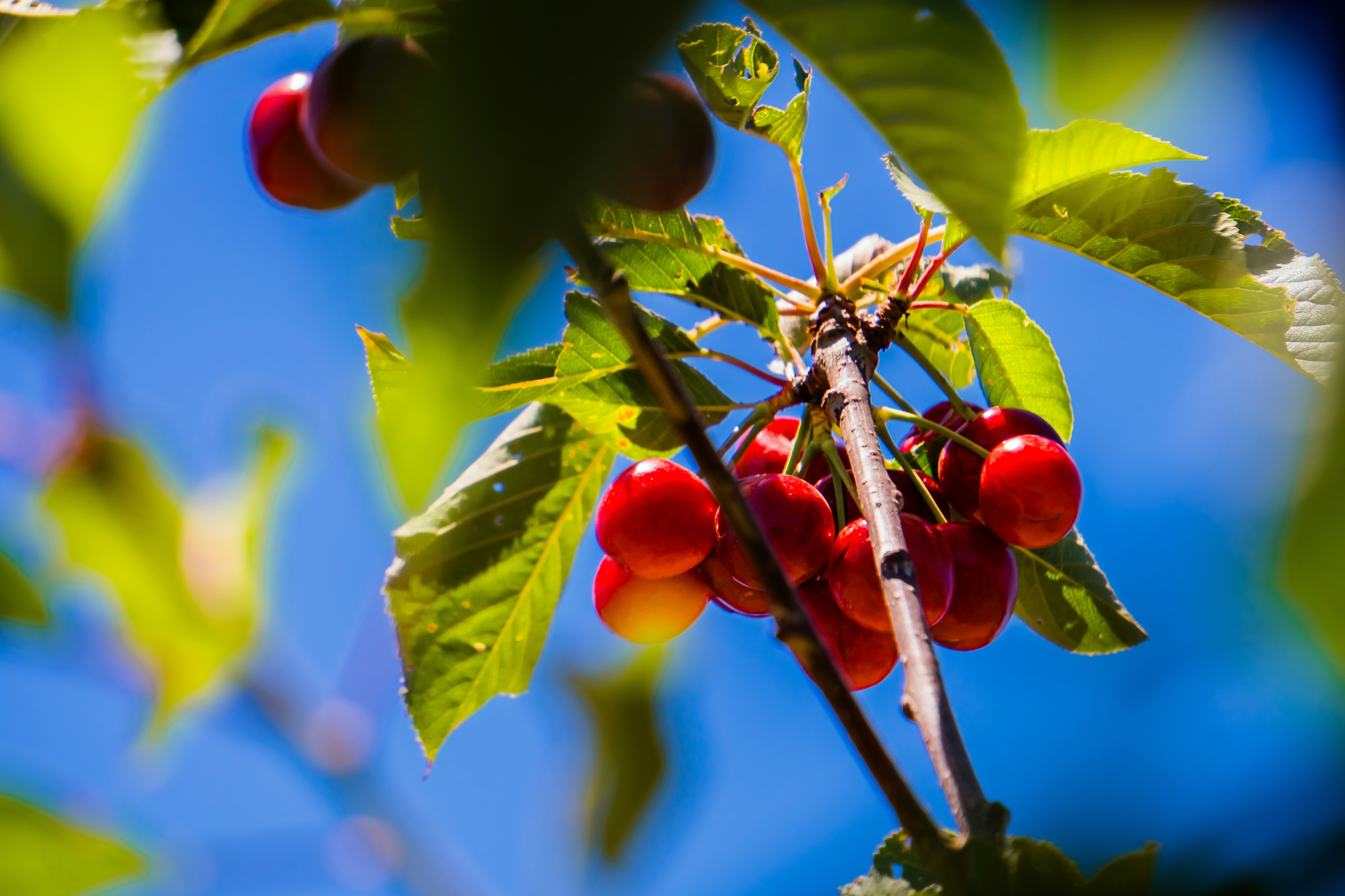 Photo by niko_nguyen_10