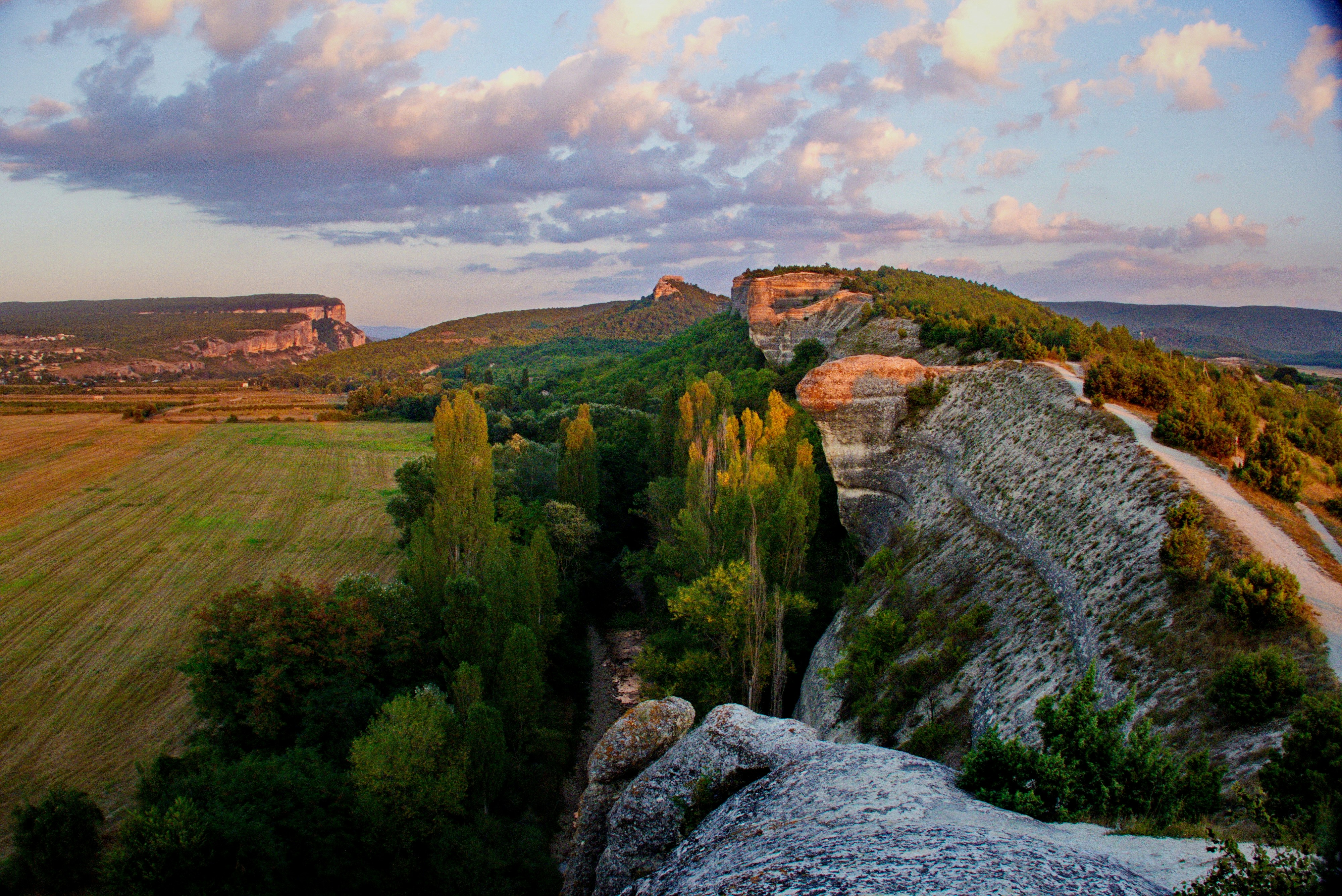 A scenic view of a green valley and mountains