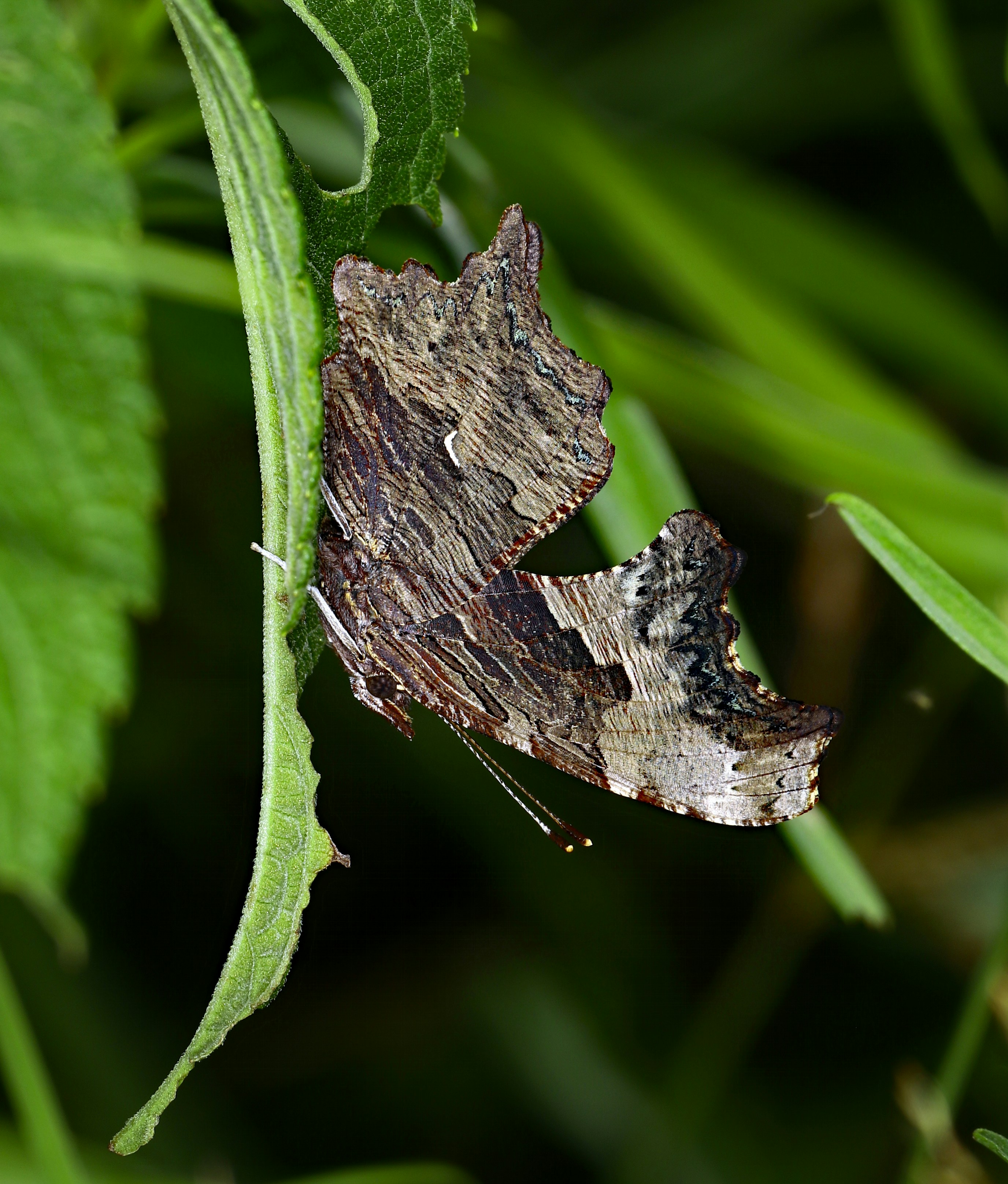 Photo by telliottmbamsc