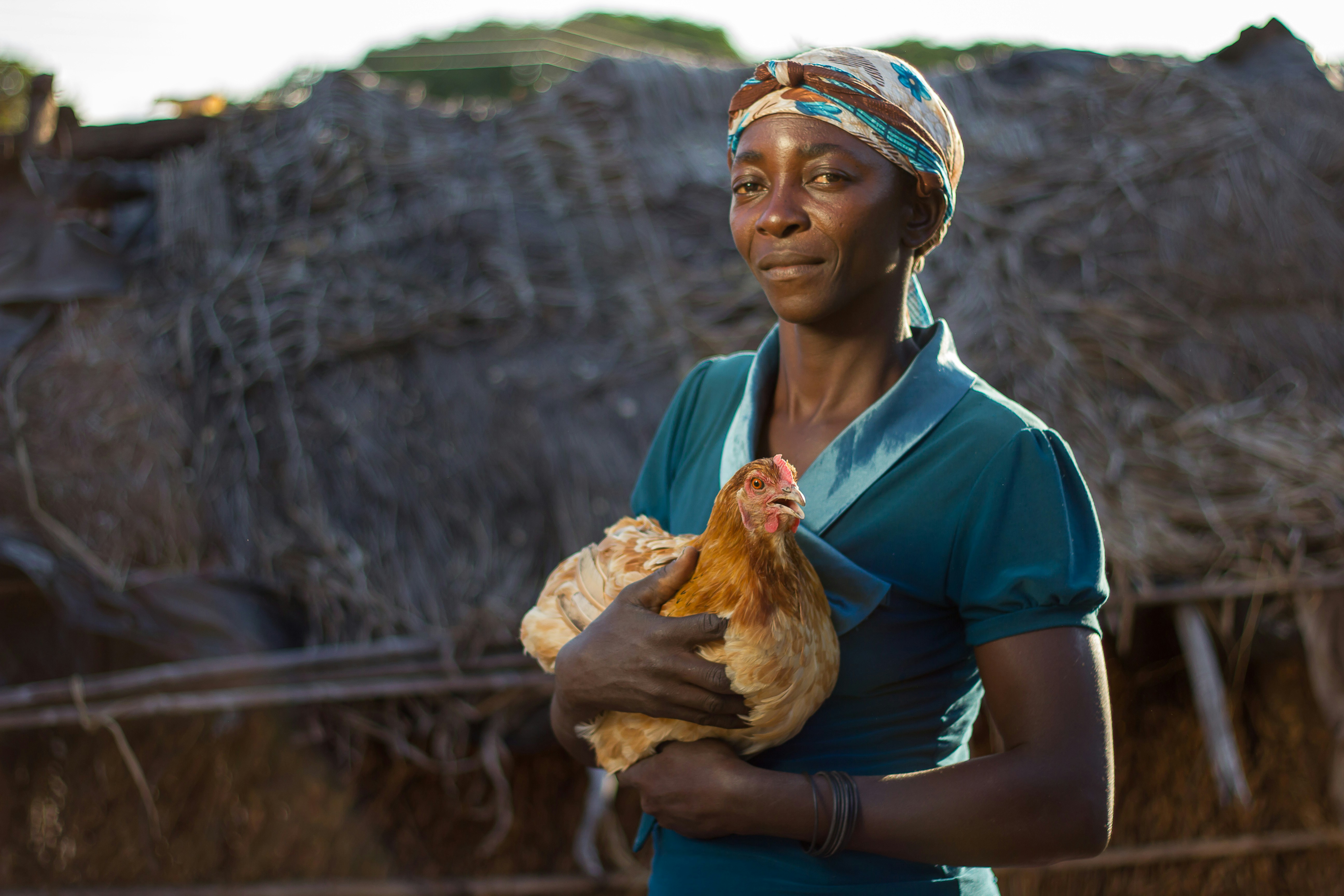 Photo by richard_nyoni