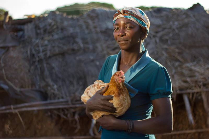 Blessing Okoro, Livestock & Poultry Lead