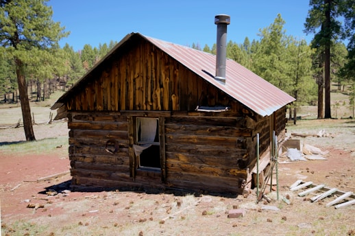 An old log cabin in the woods with a chimney