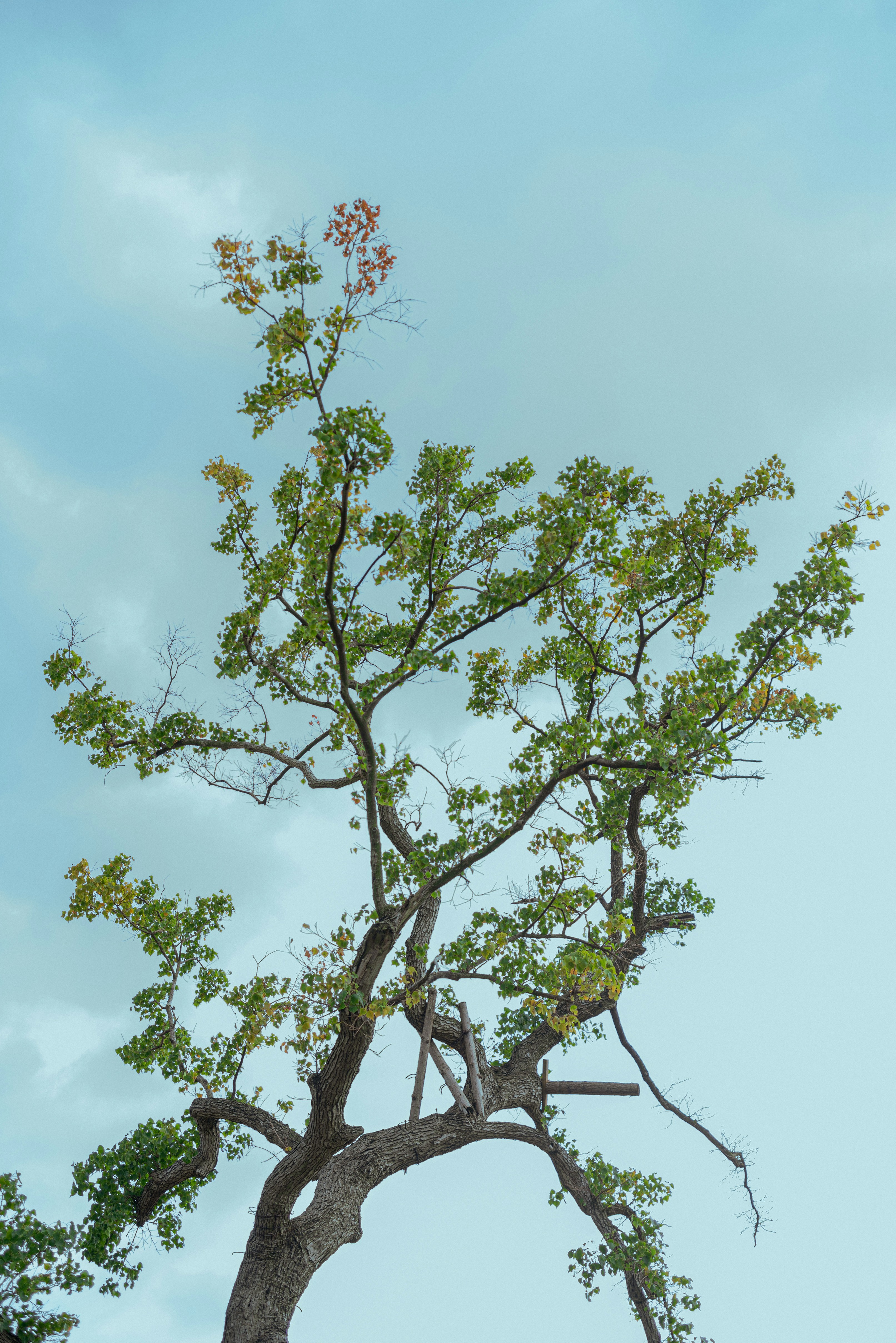 Photo by bigstarworkroom