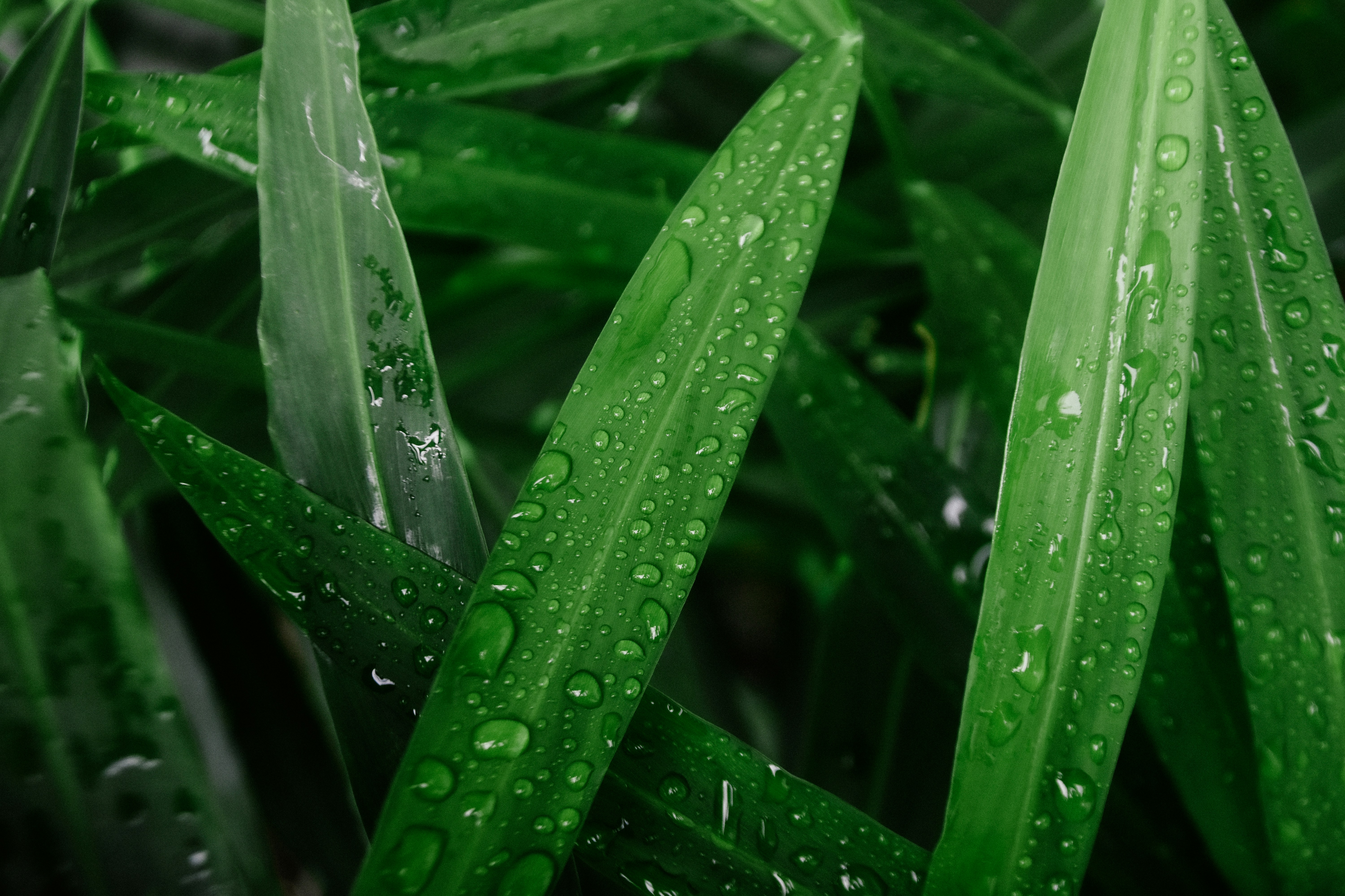 Photo by allensamthomas