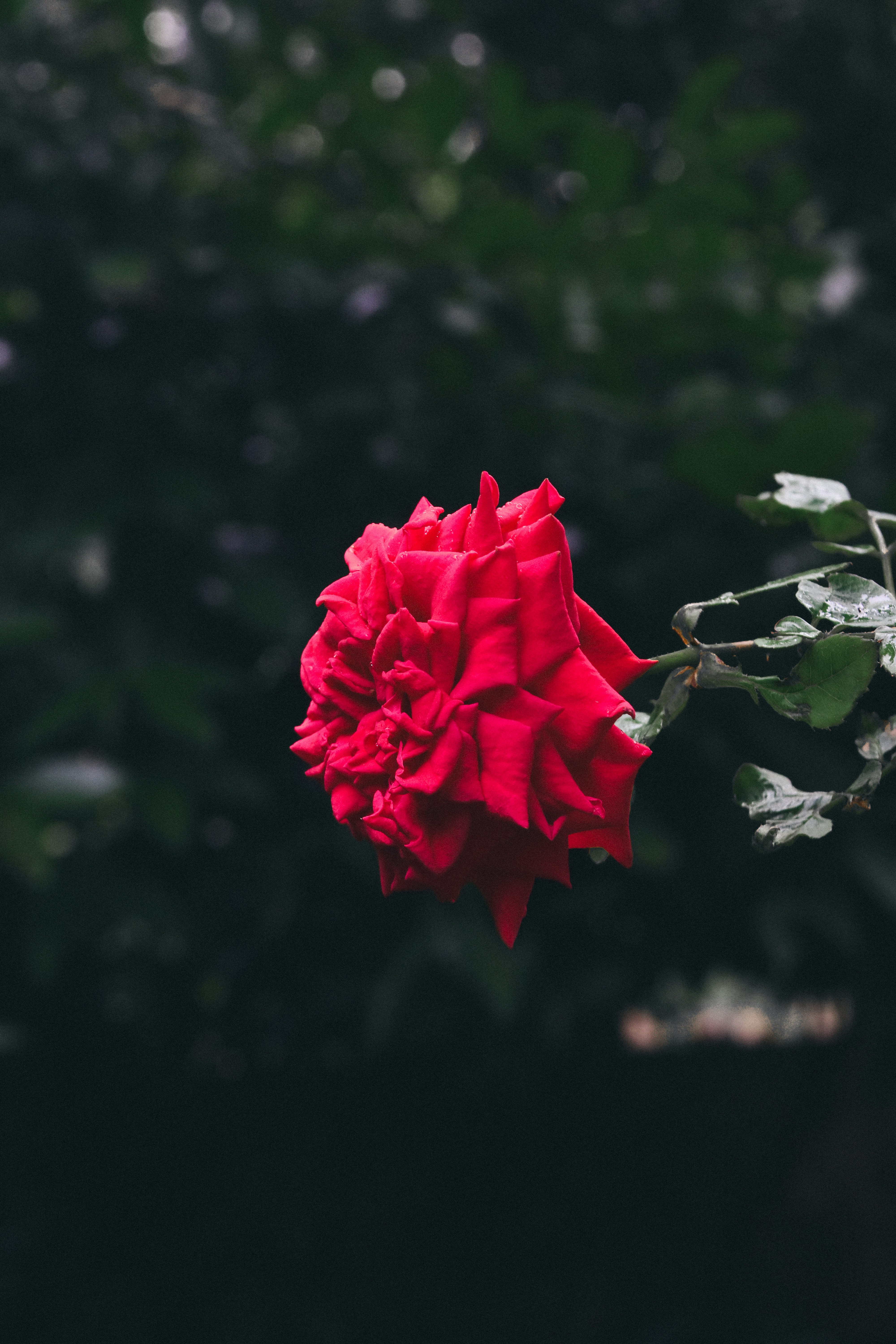 Photo by allensamthomas