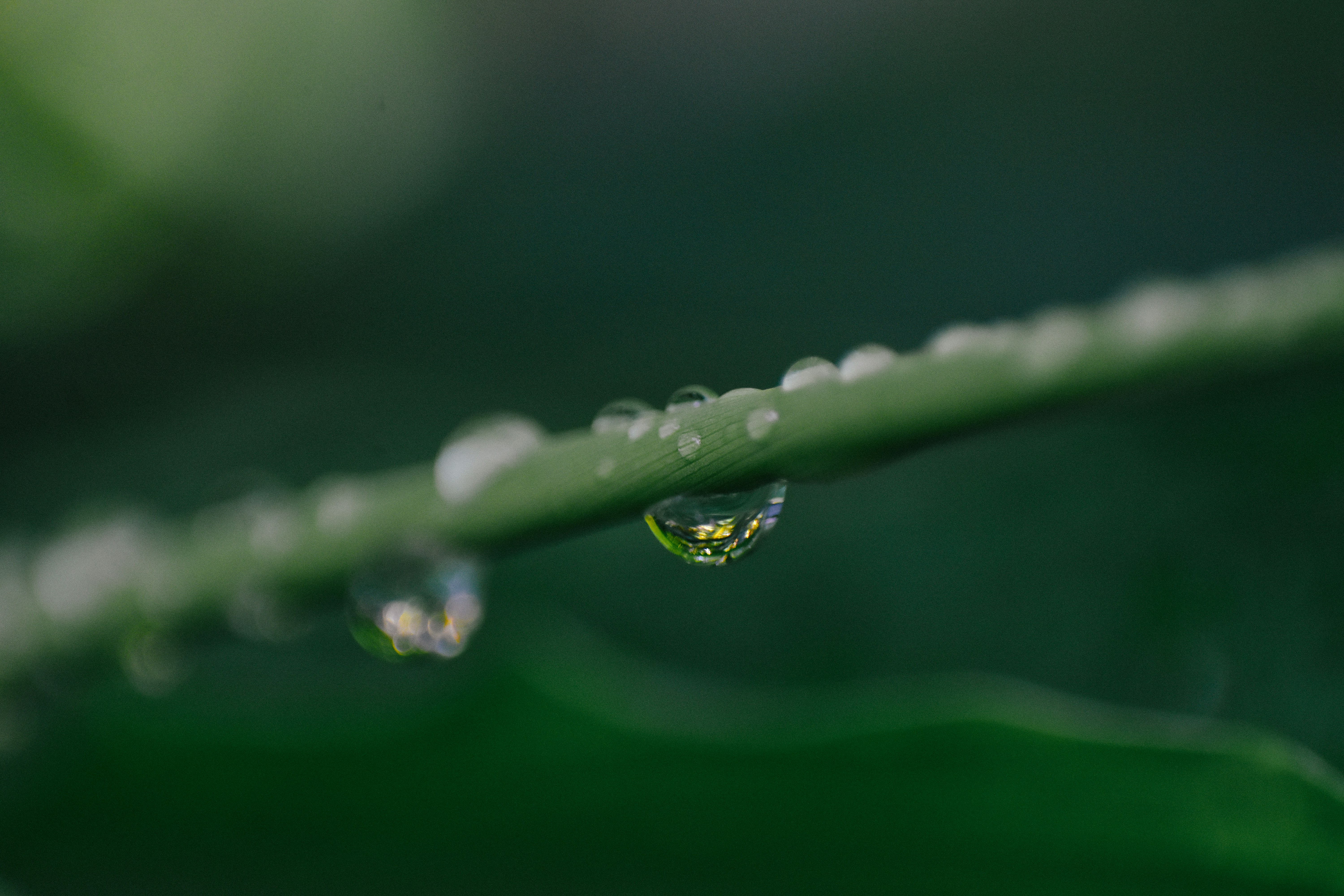 Photo by allensamthomas