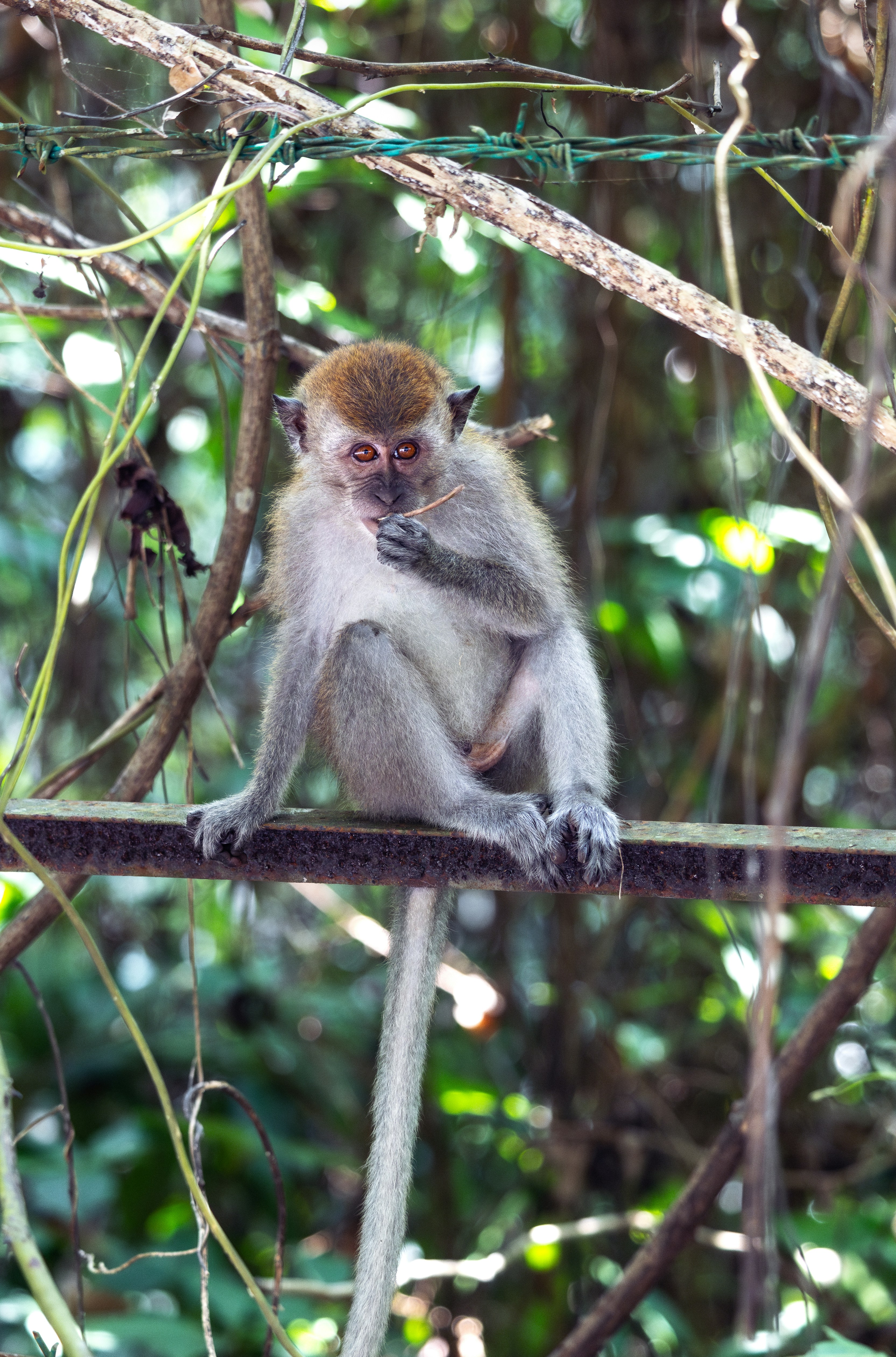 Photo by marekpiwnicki