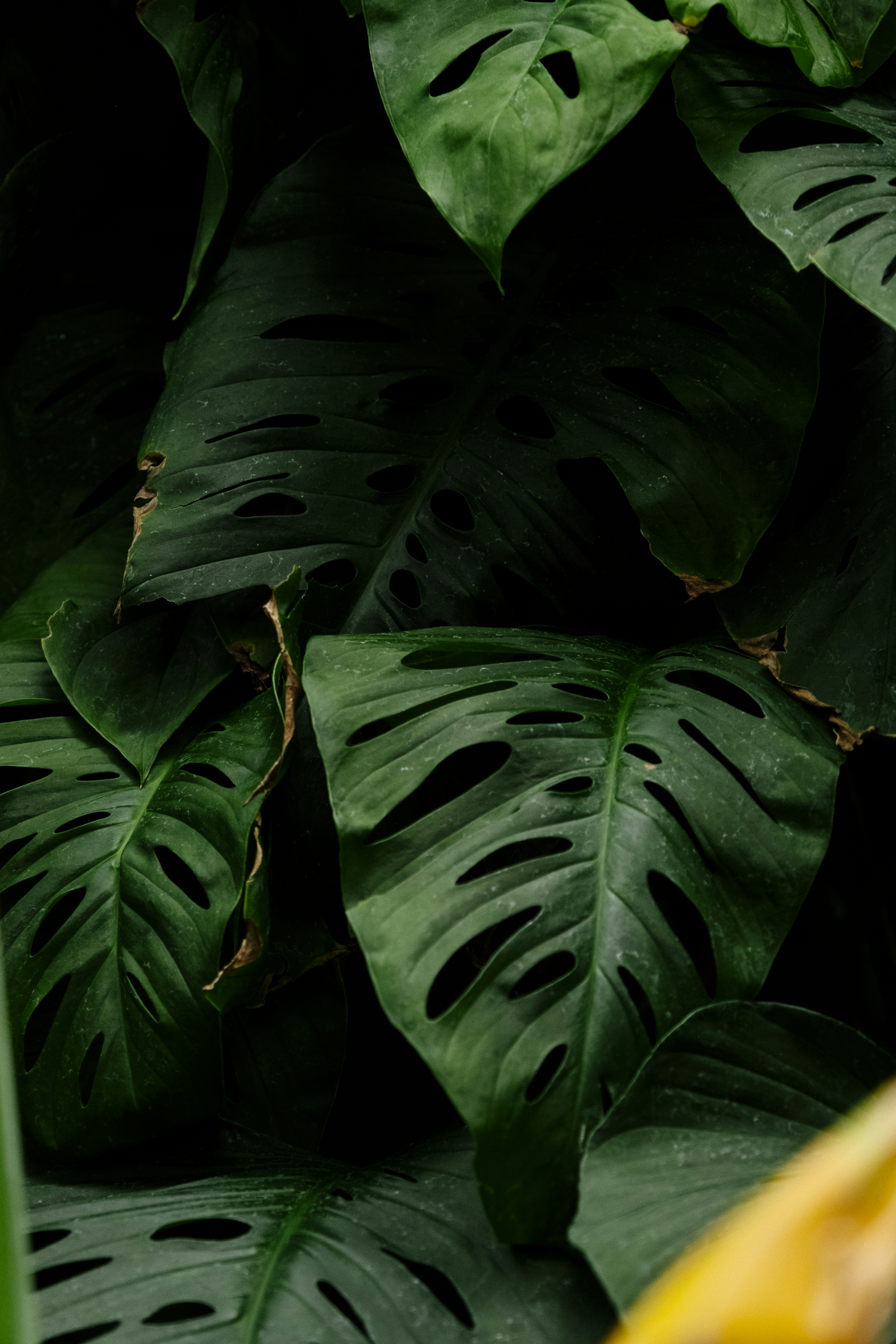 Photo by landonstefanski