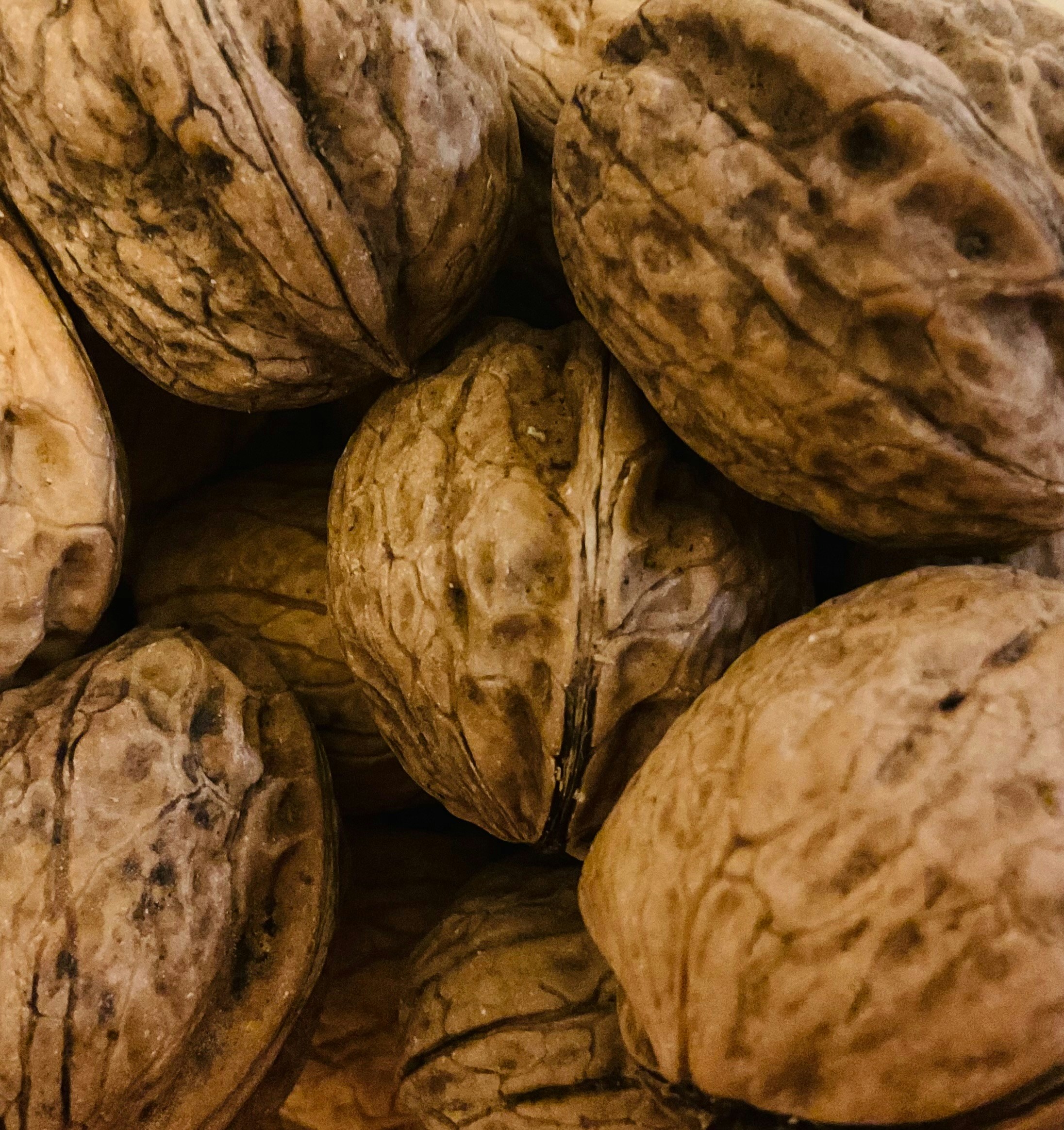 Photo by efernandez11